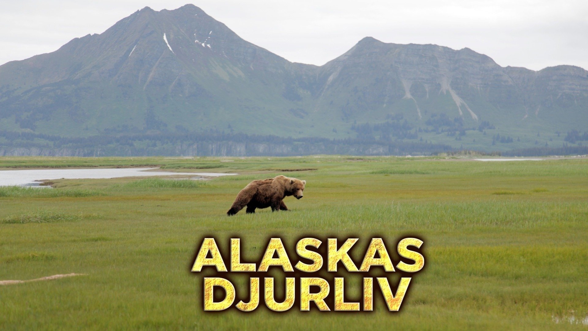 Alaskas djurliv