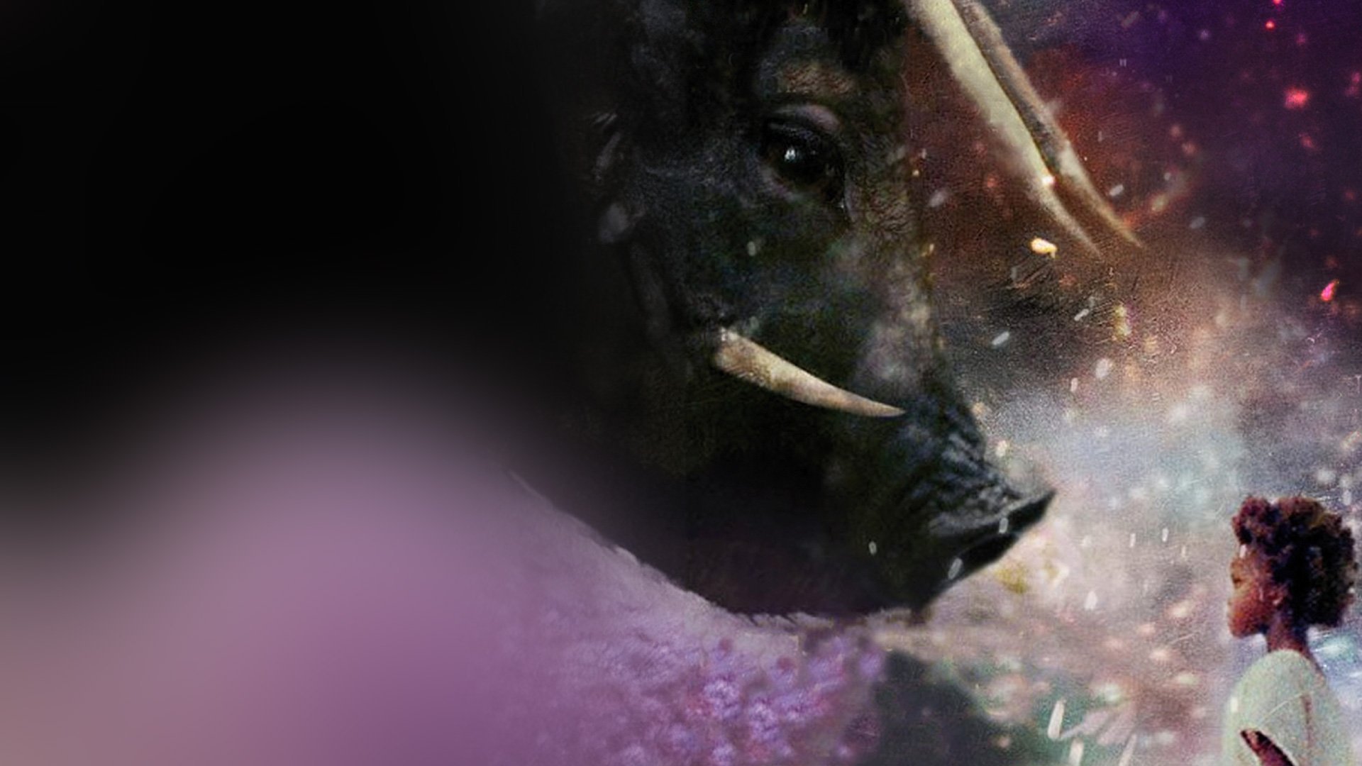 Beasts of the Southern Wild