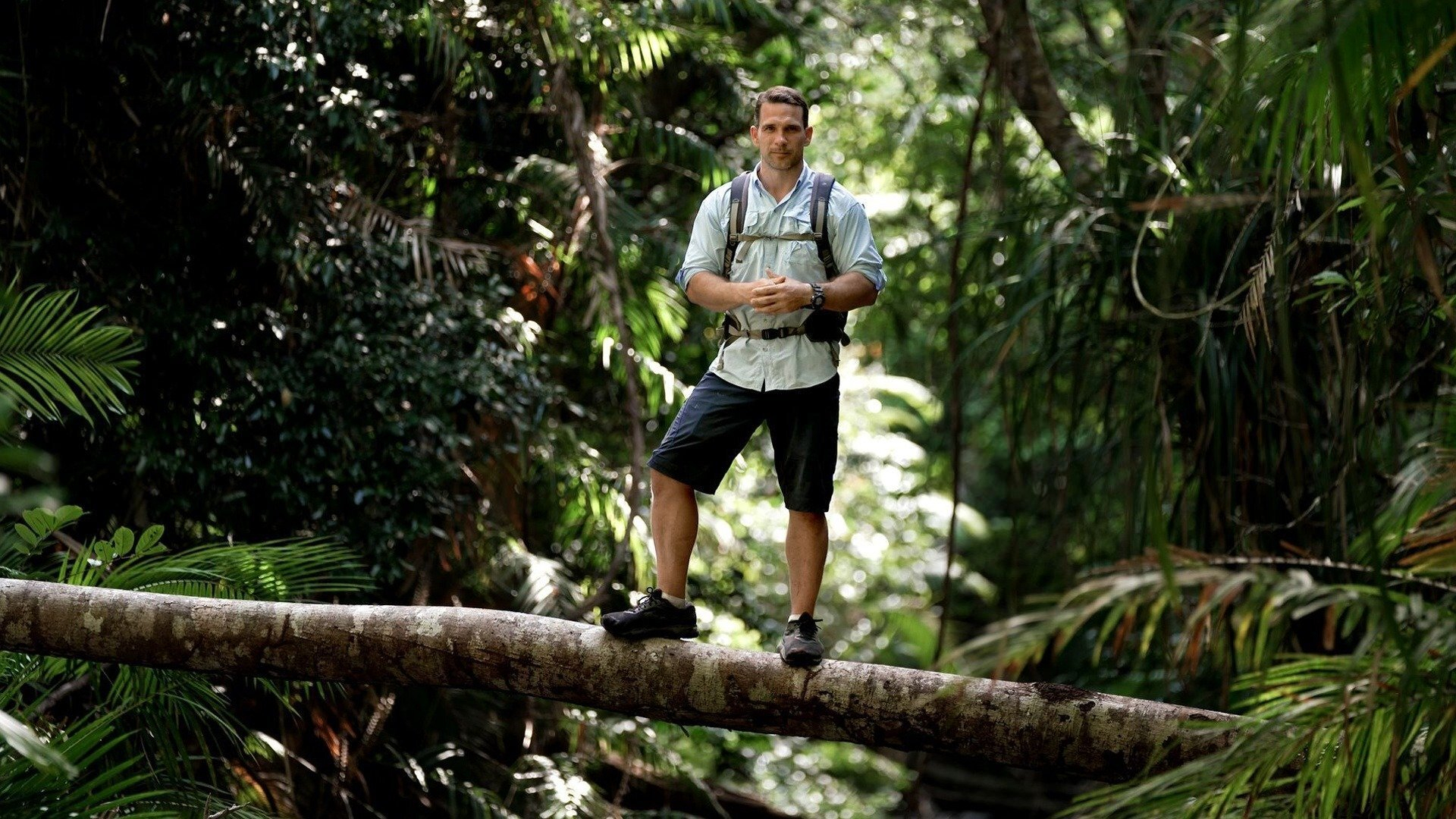 1. Wet and Wild Rainforests