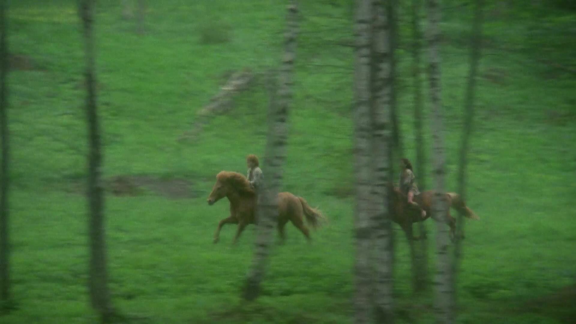 5. Episode 5