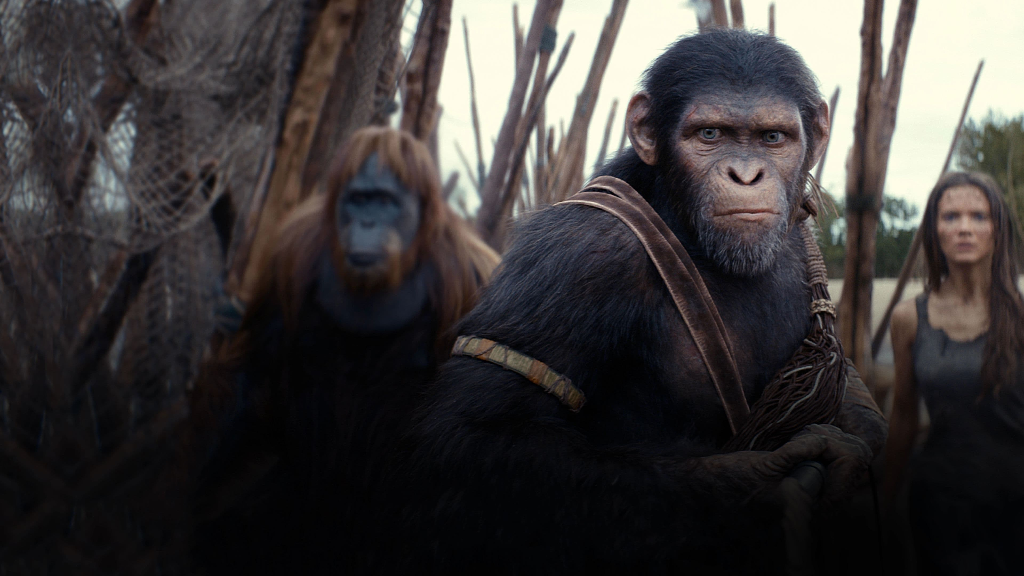 Kingdom of the Planet of the Apes