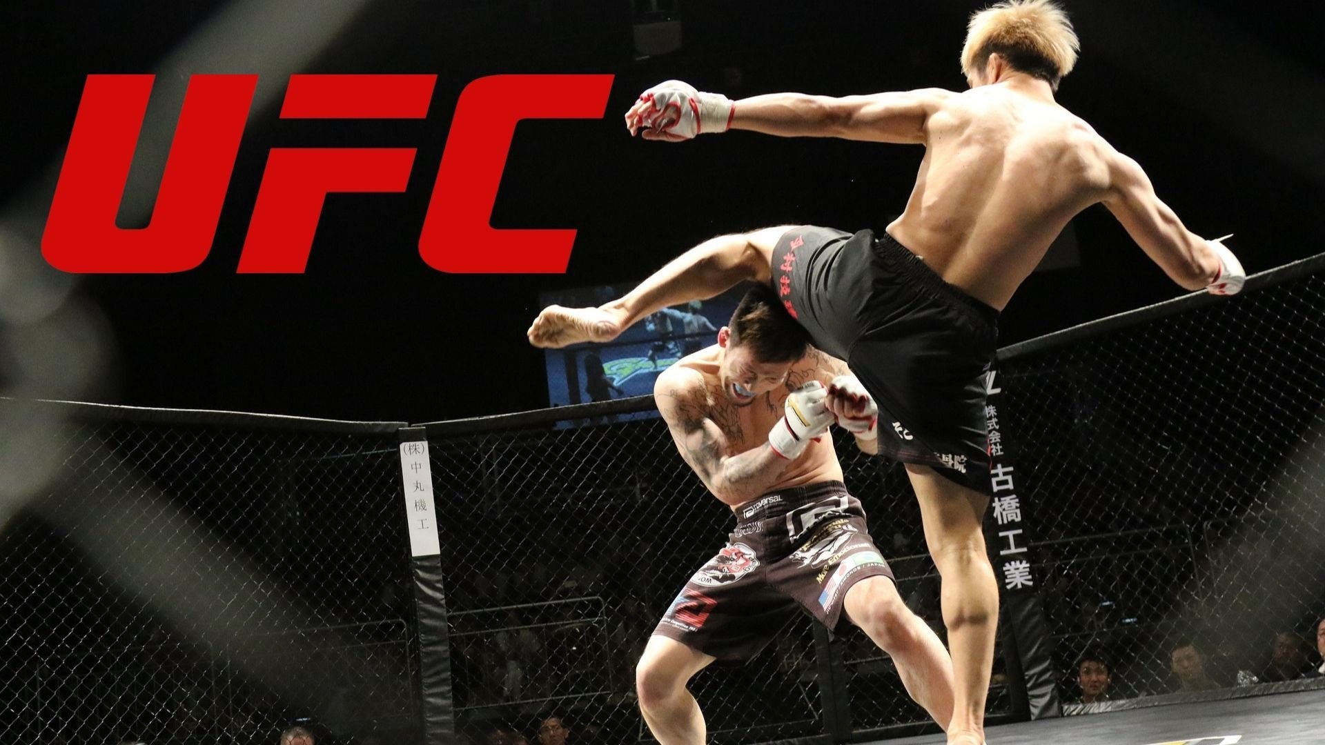UFC