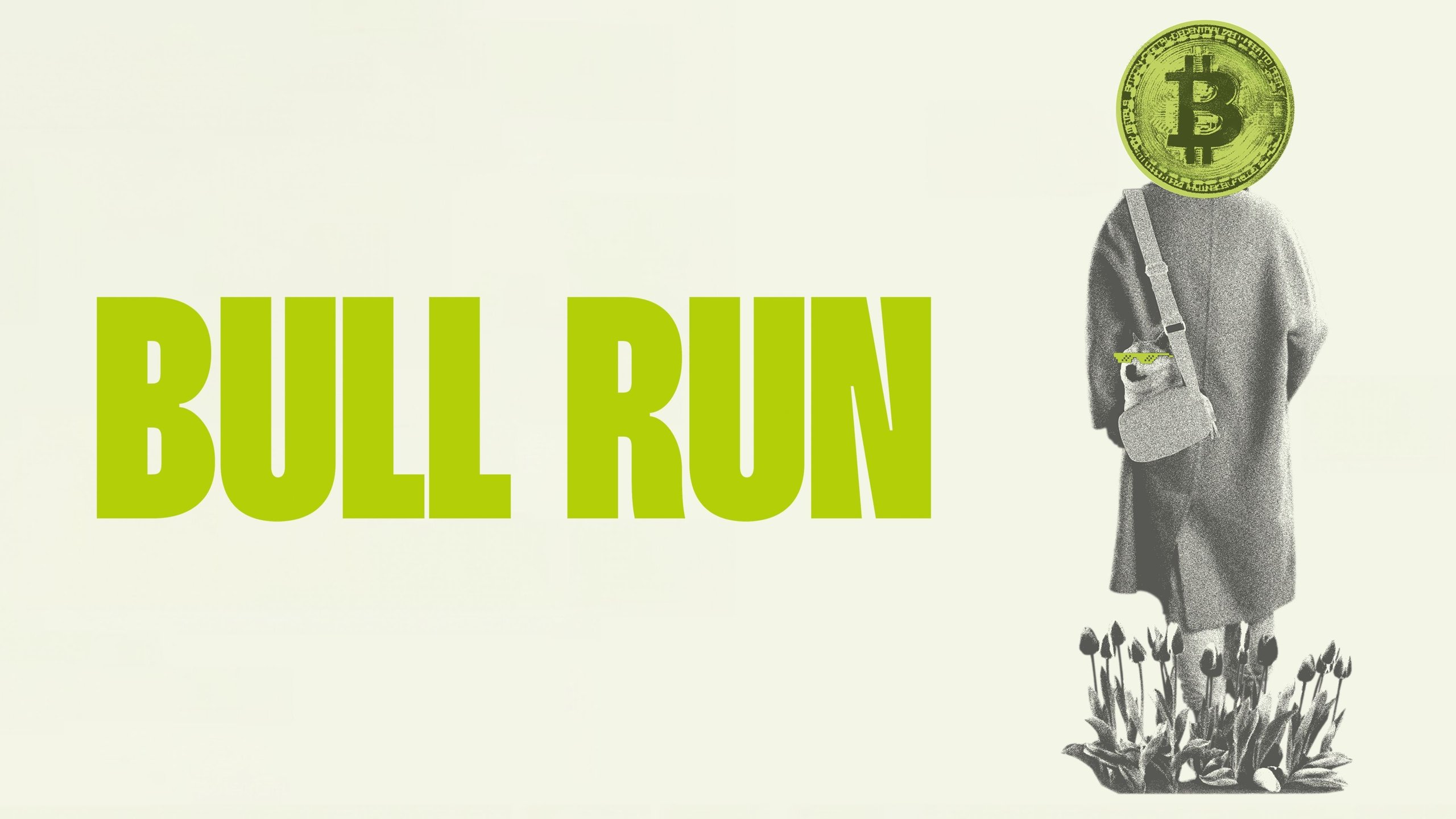 Bull Run