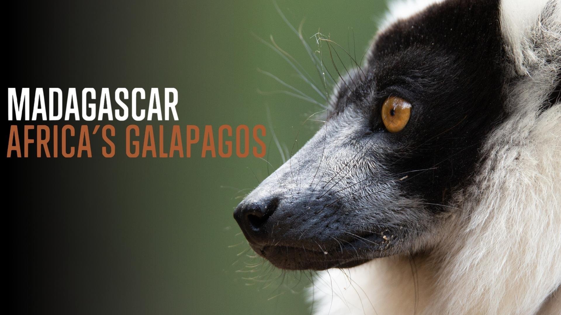 Madagaskar: Afrikas egna Galapagos