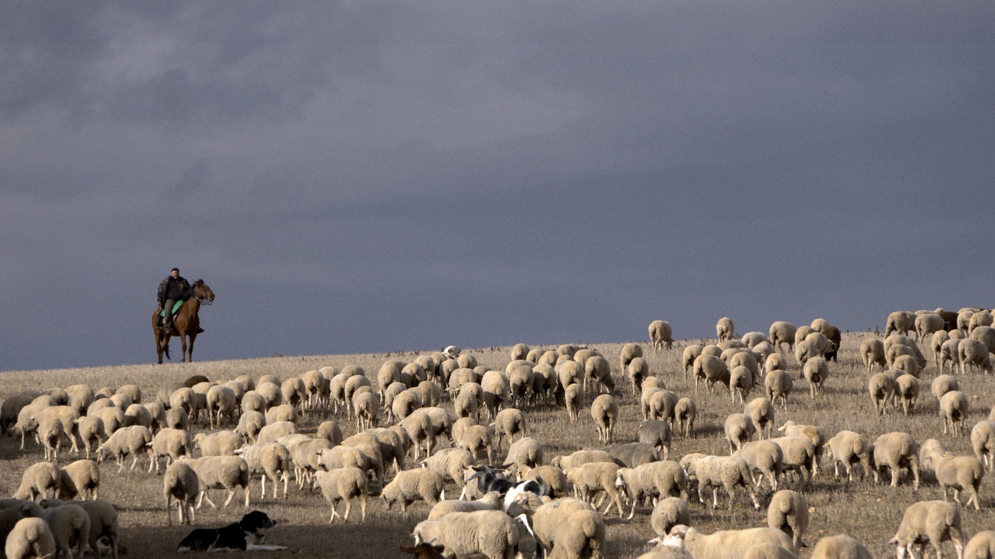 Transhumance - Routes of a Disappearing Life