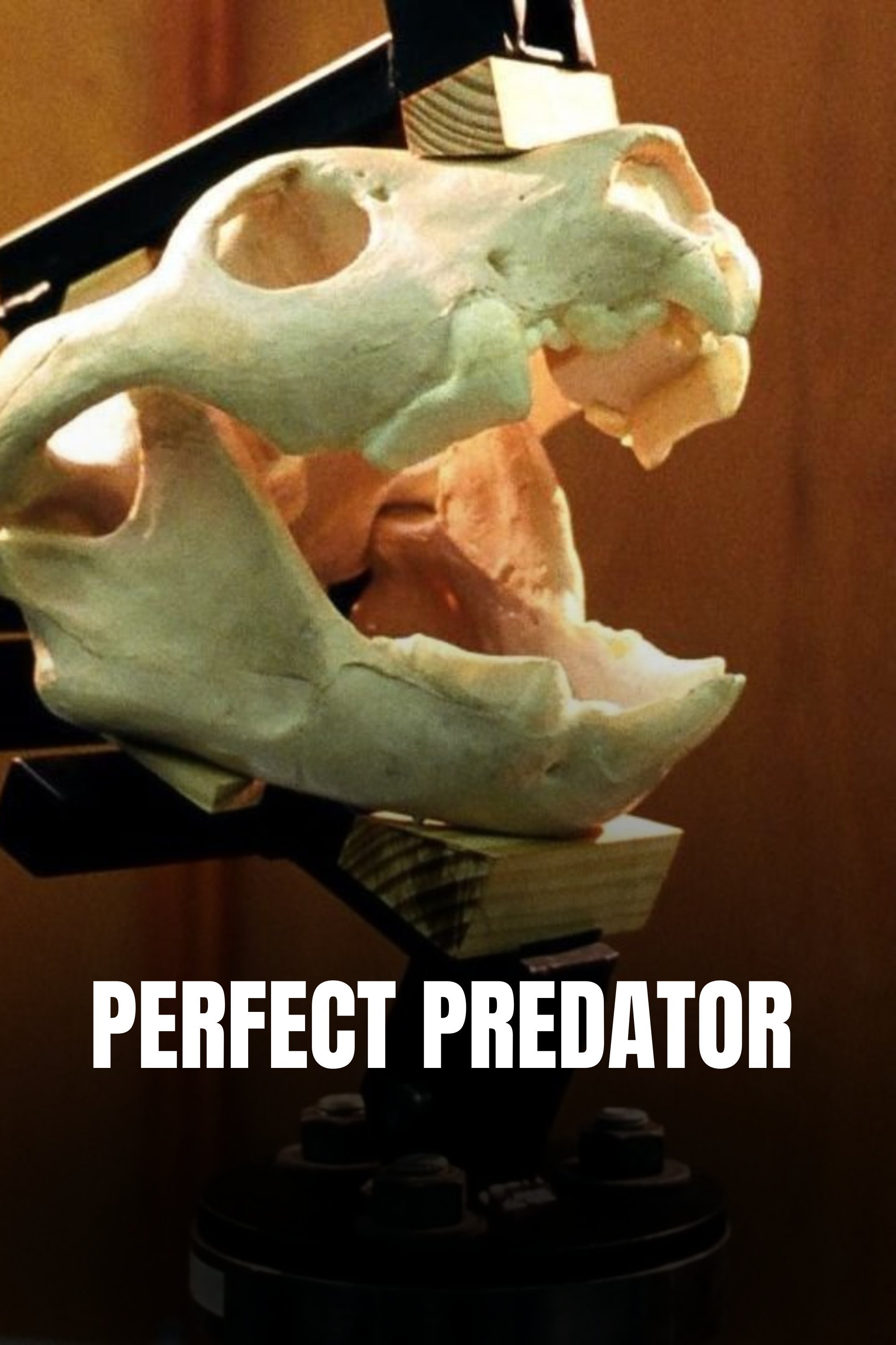 Perfect Predator