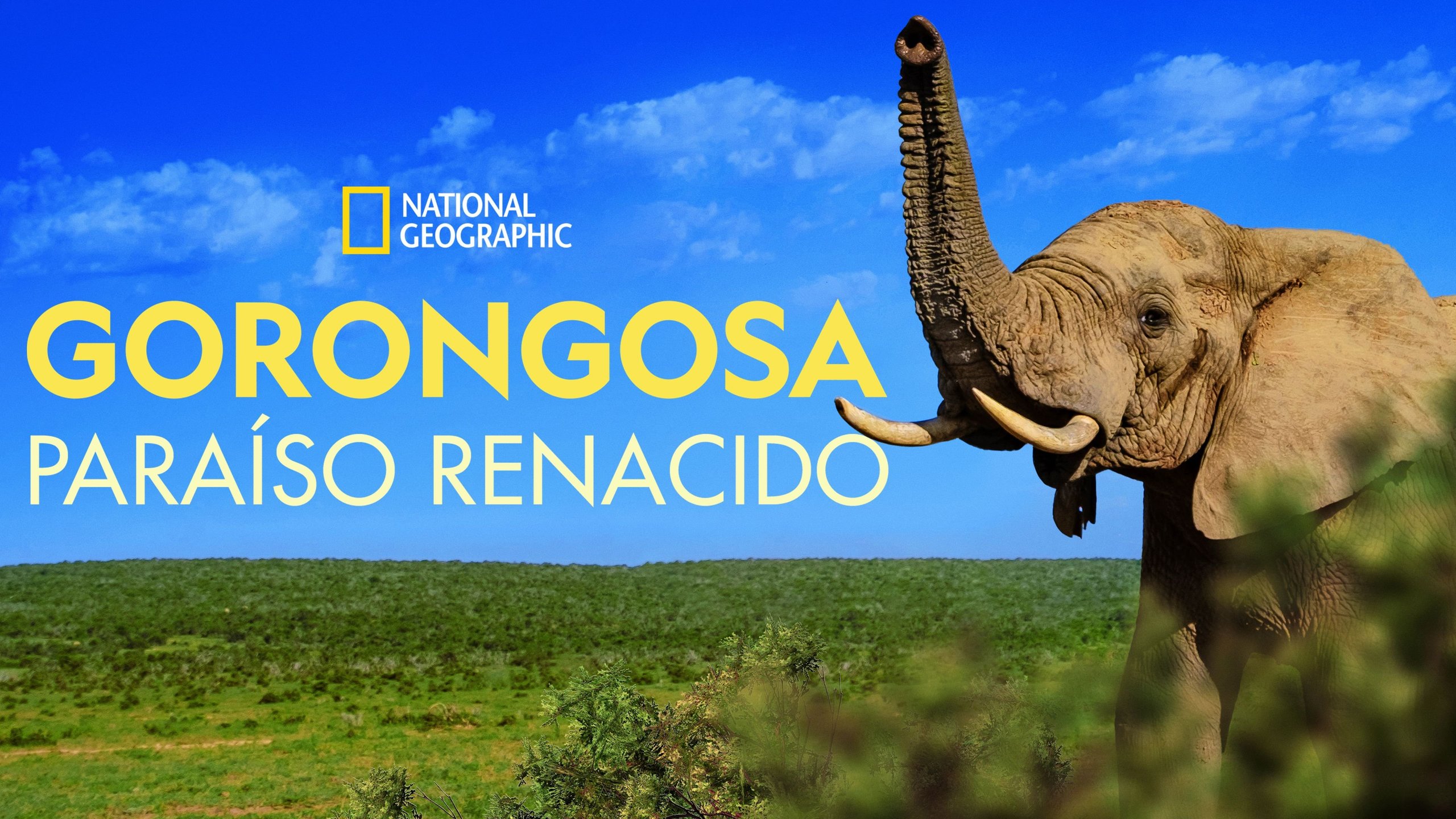 Gorongosa: Paradise Reborn