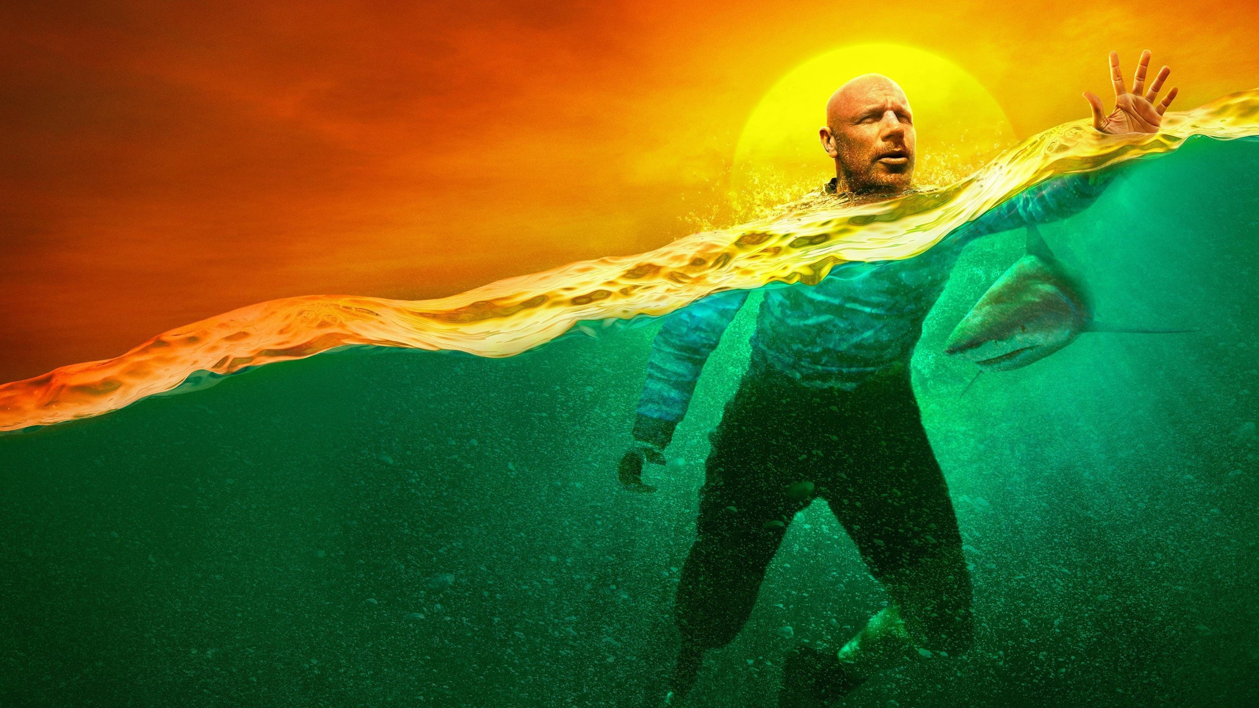 How To Survive A Shark Attack