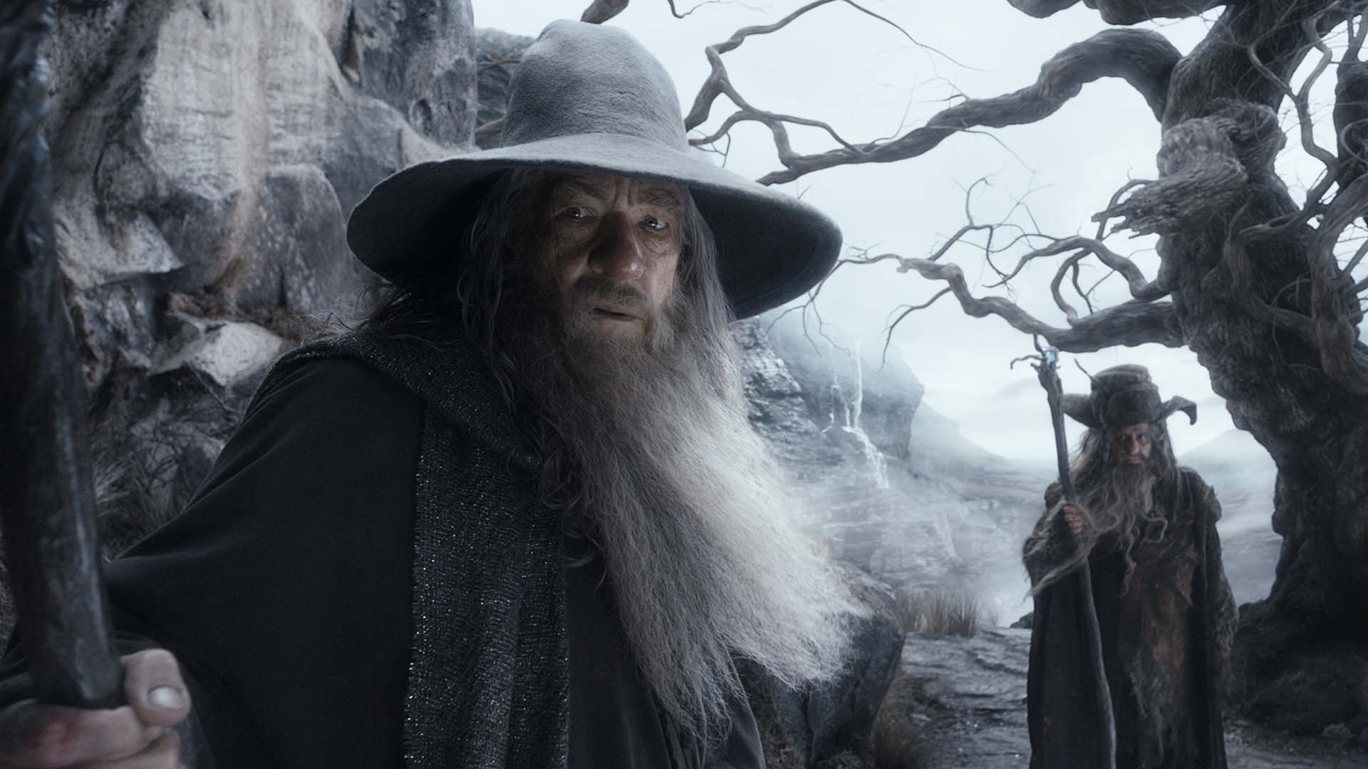 Hobbit: Smaugs ödemark