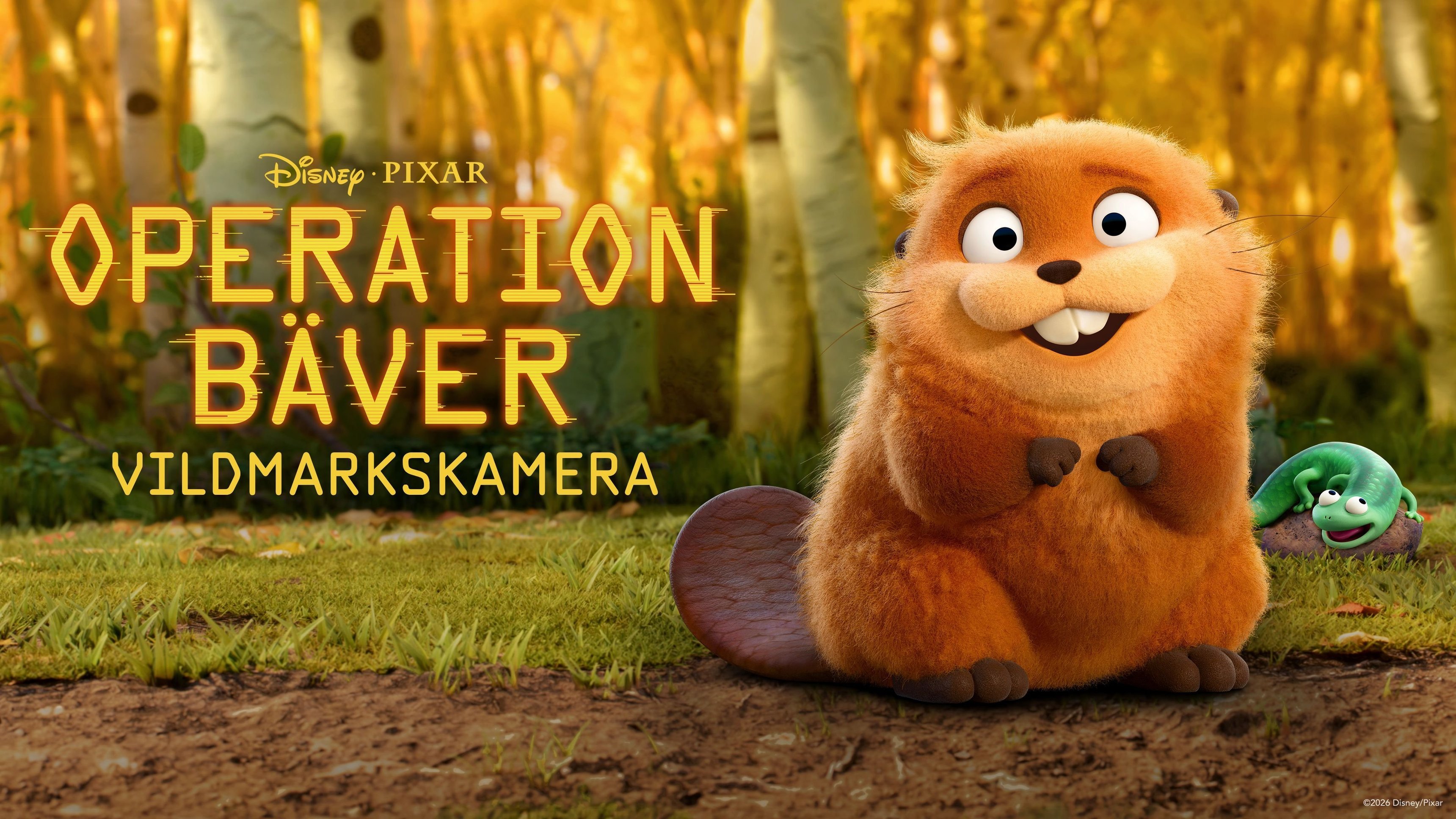 Operation Bäver