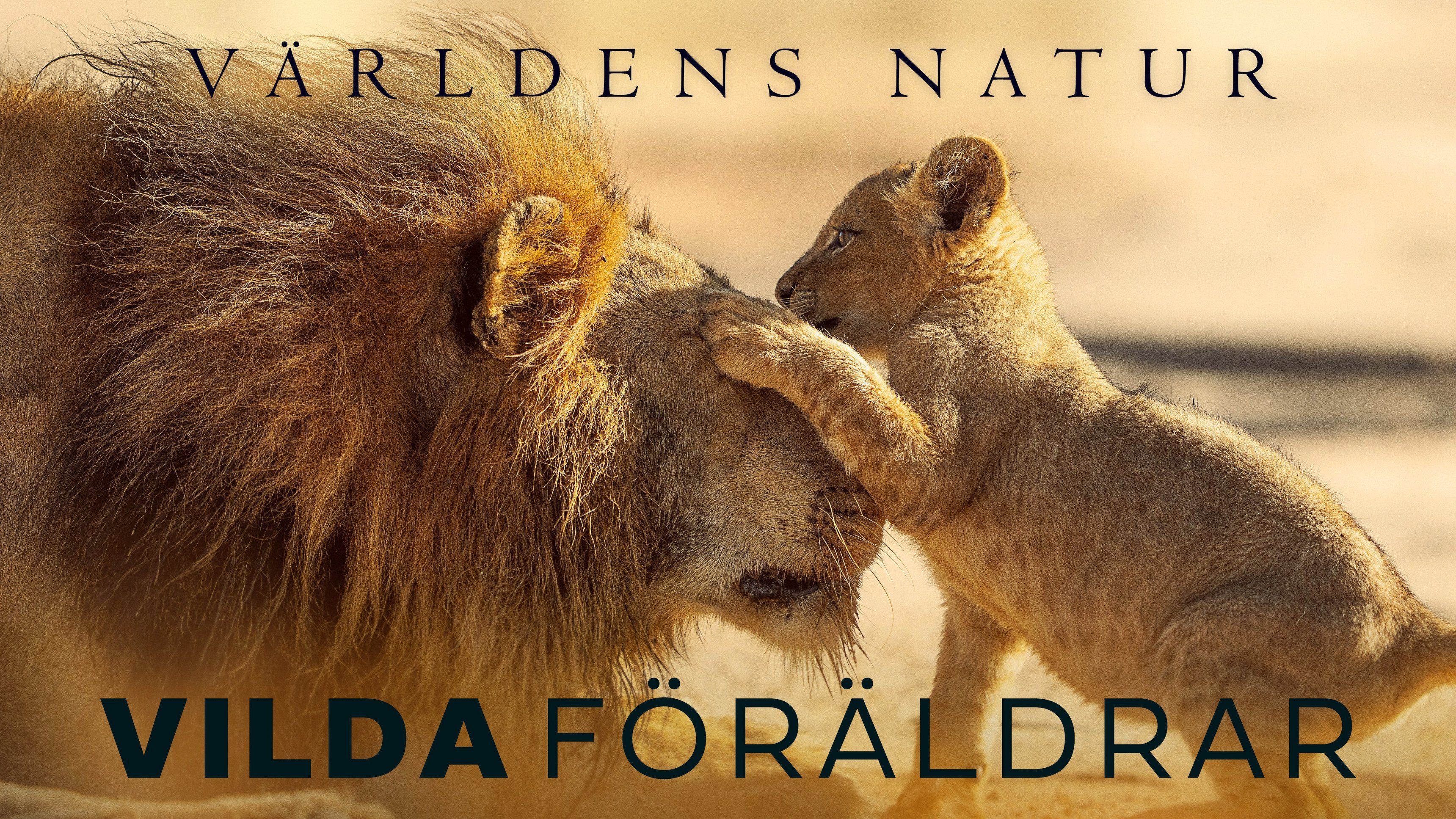 Världens natur: Vilda föräldrar