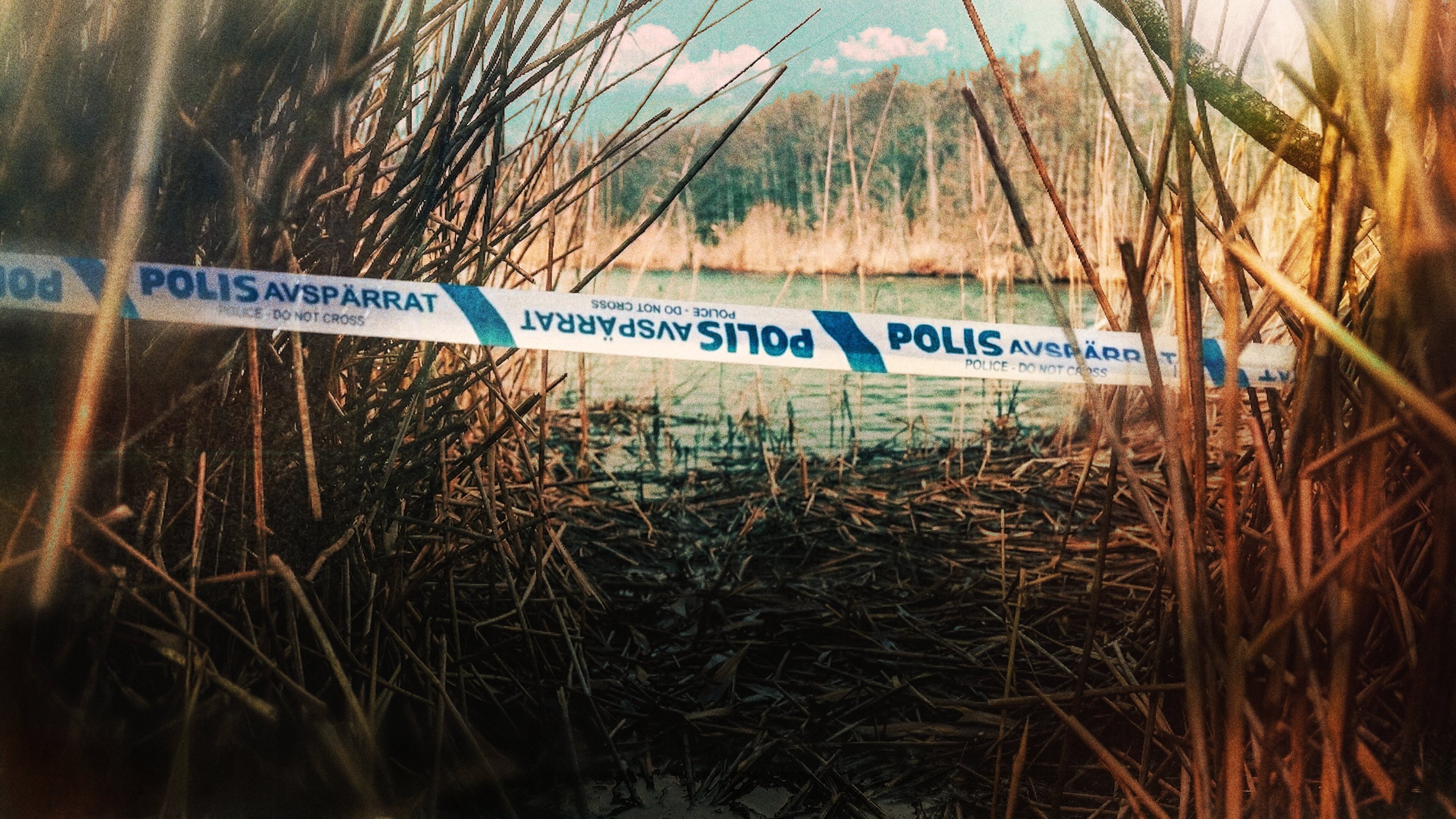 Nyheterna Story: Styckmordet i Danderyd