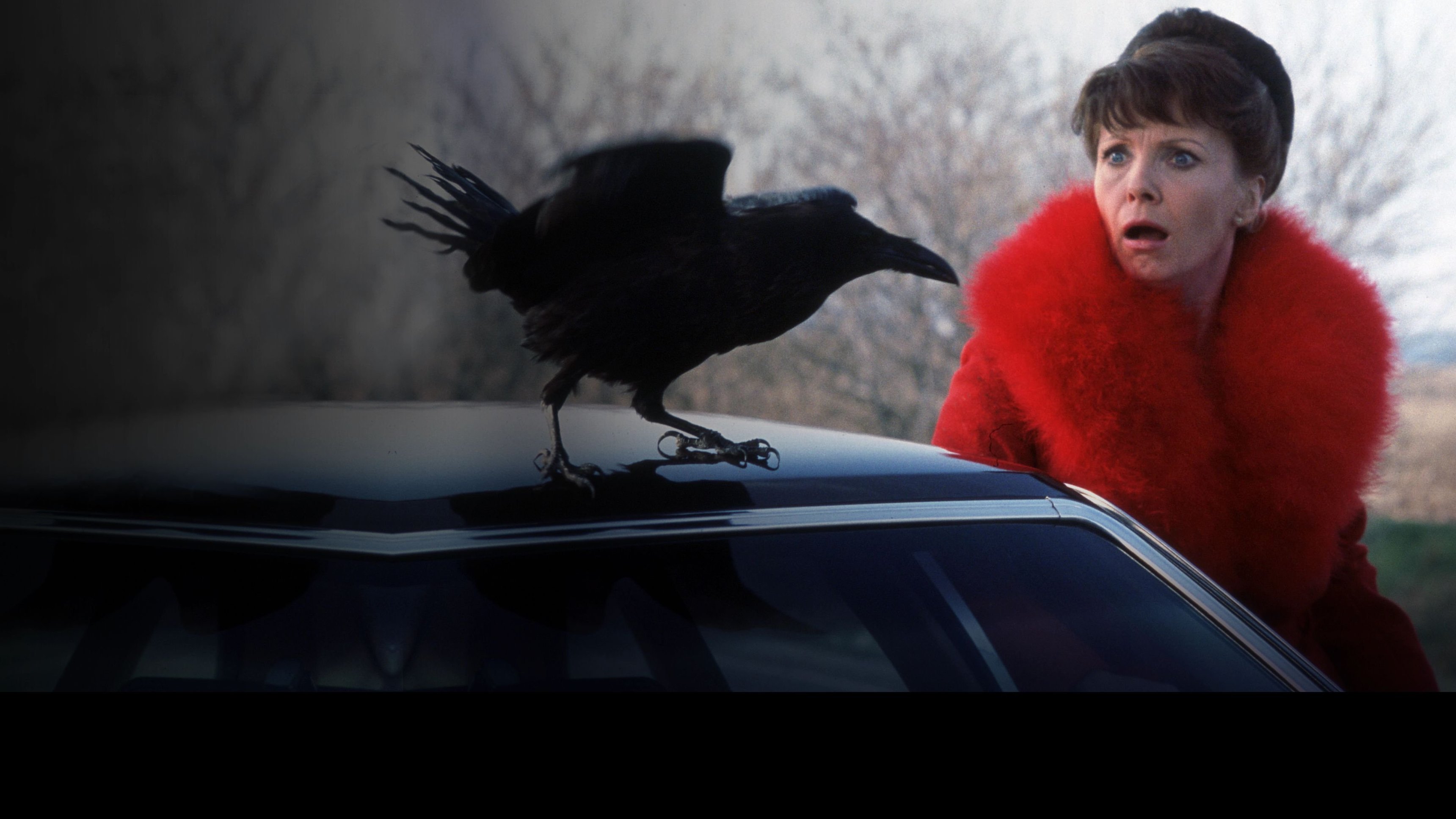 Damien - Omen II
