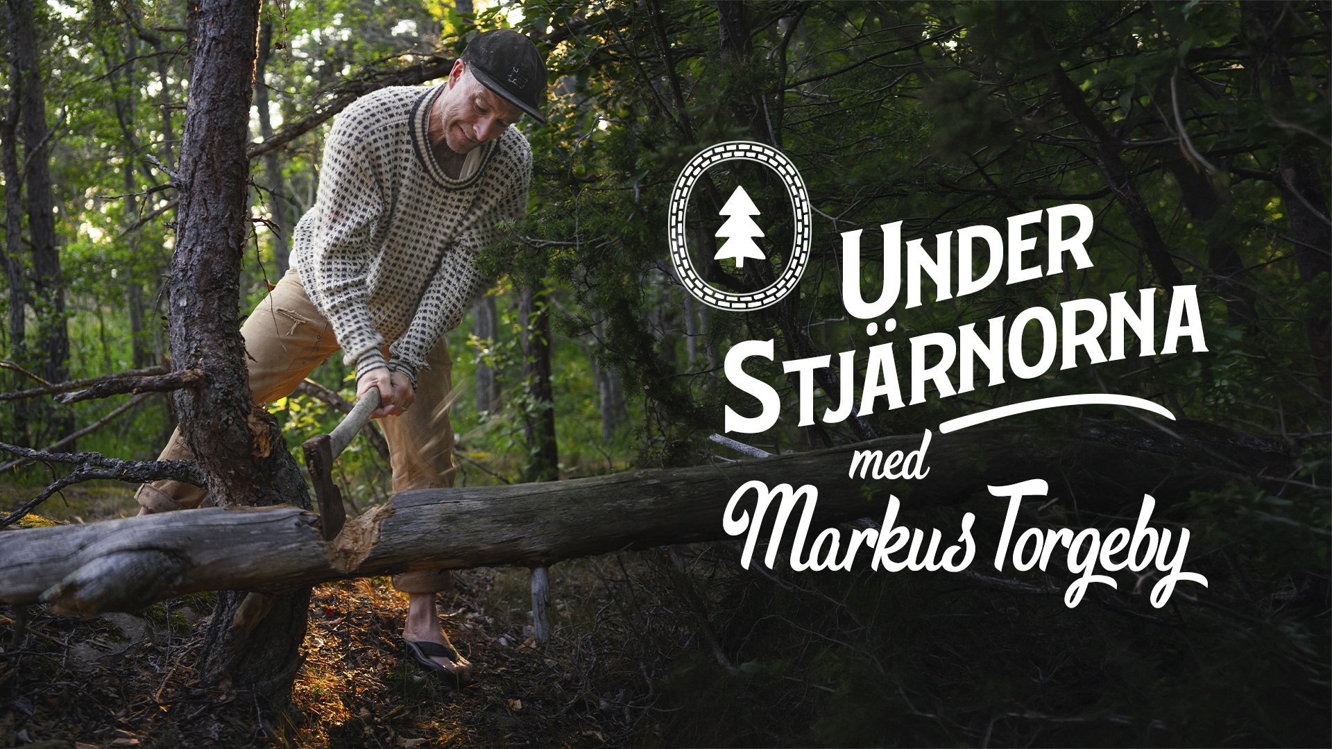 Under stjärnorna med Markus Torgeby