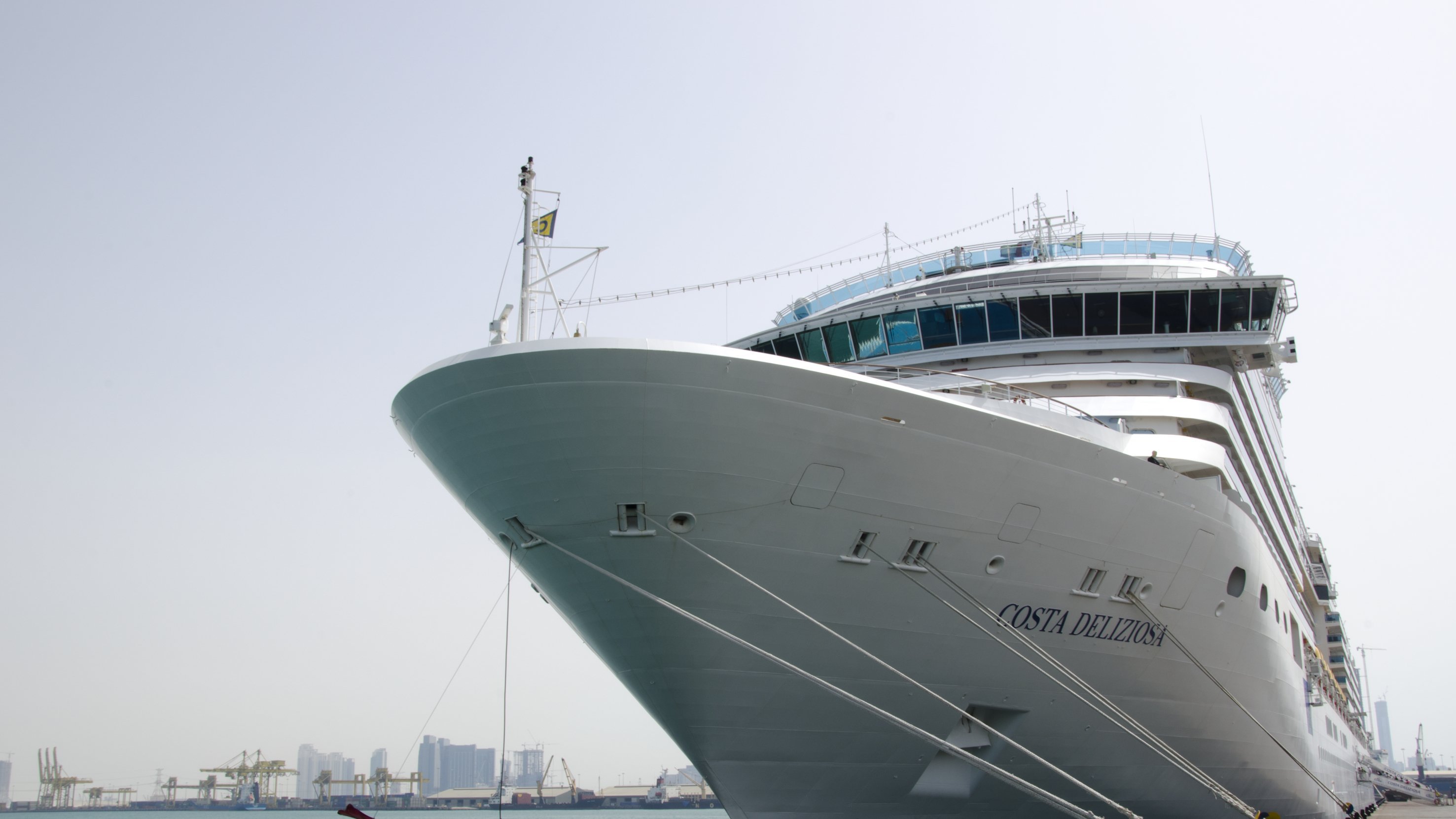 Kryssningsdagböcker