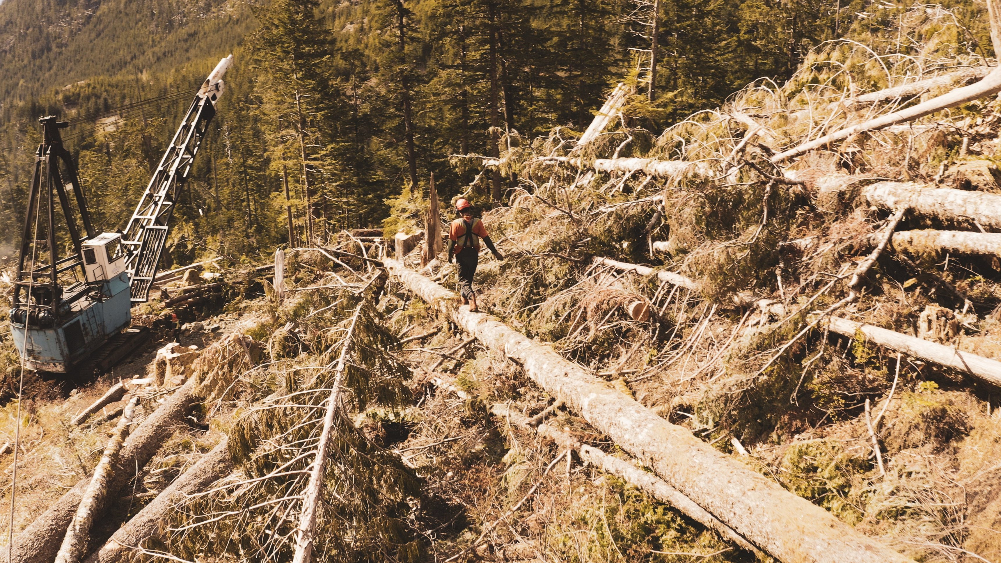 8. Inget ska hindra oss nu