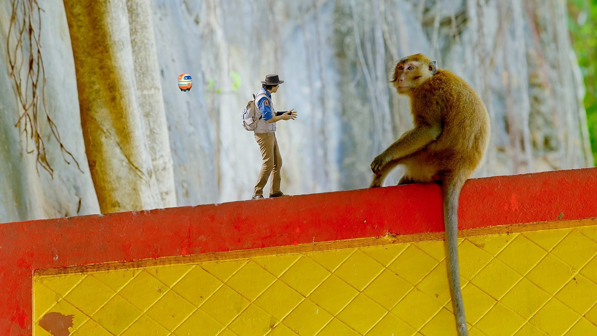 29. Andy och dom långsvansade makakerna