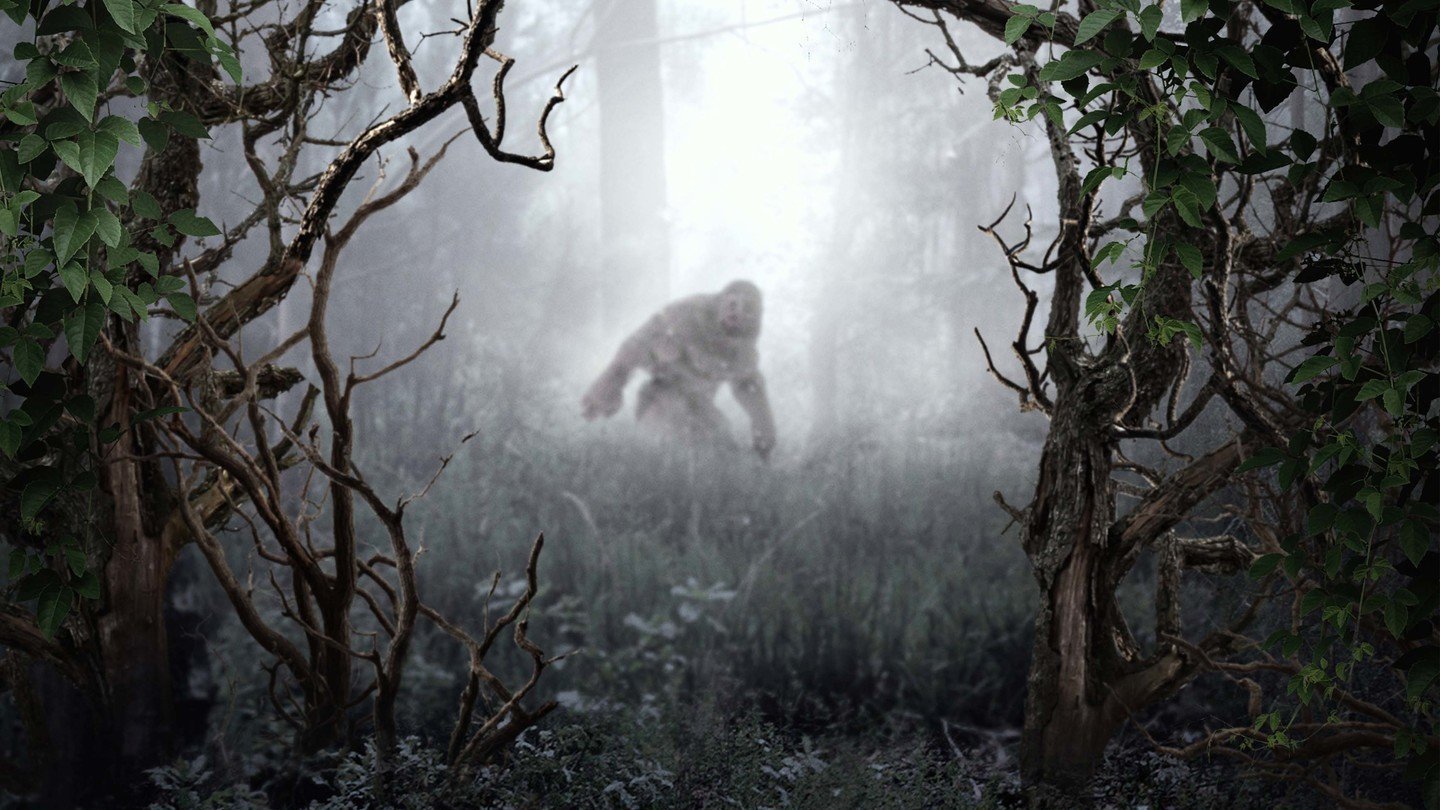 MonsterQuest