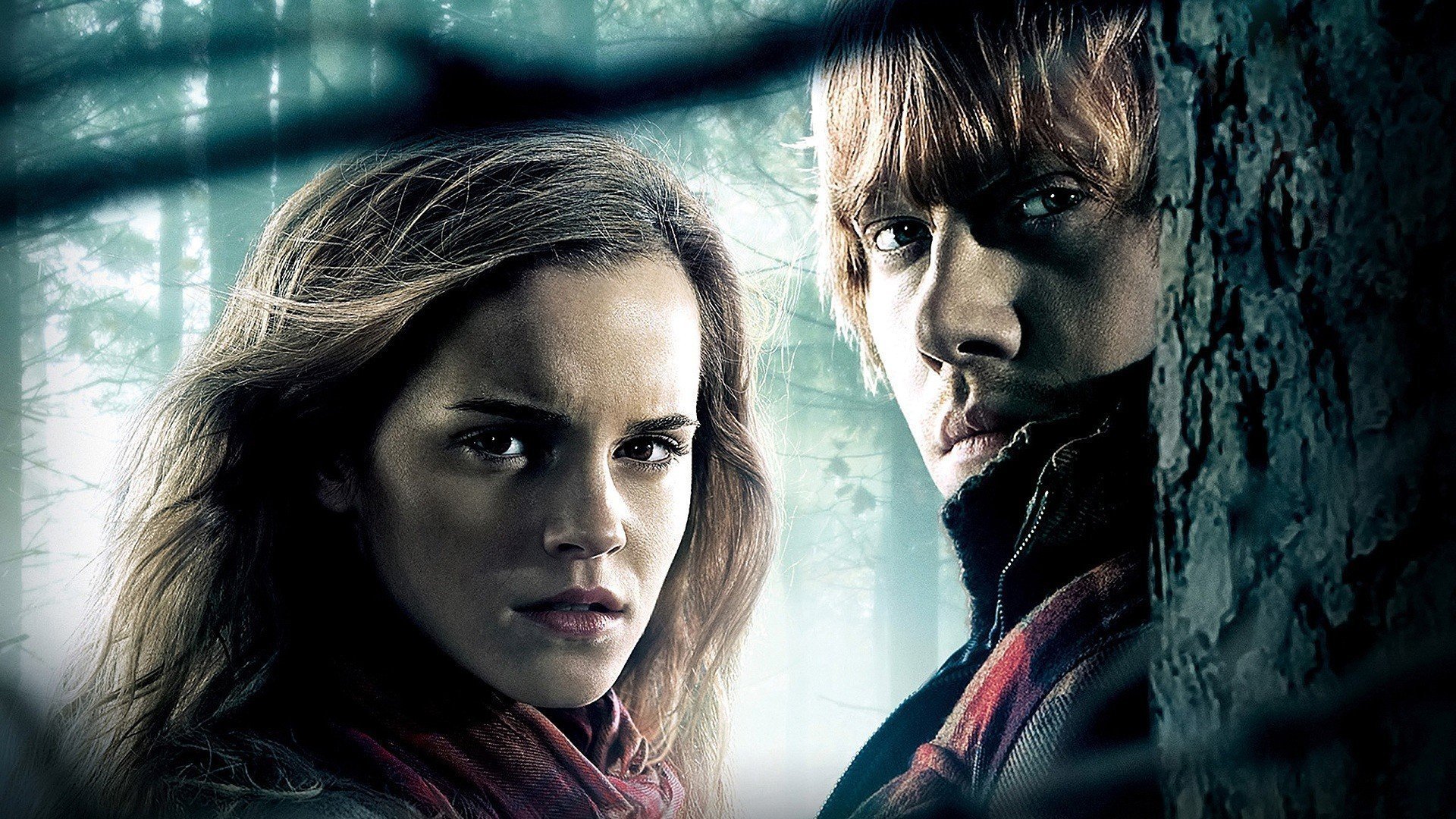 Harry Potter och dödsrelikerna, del 1