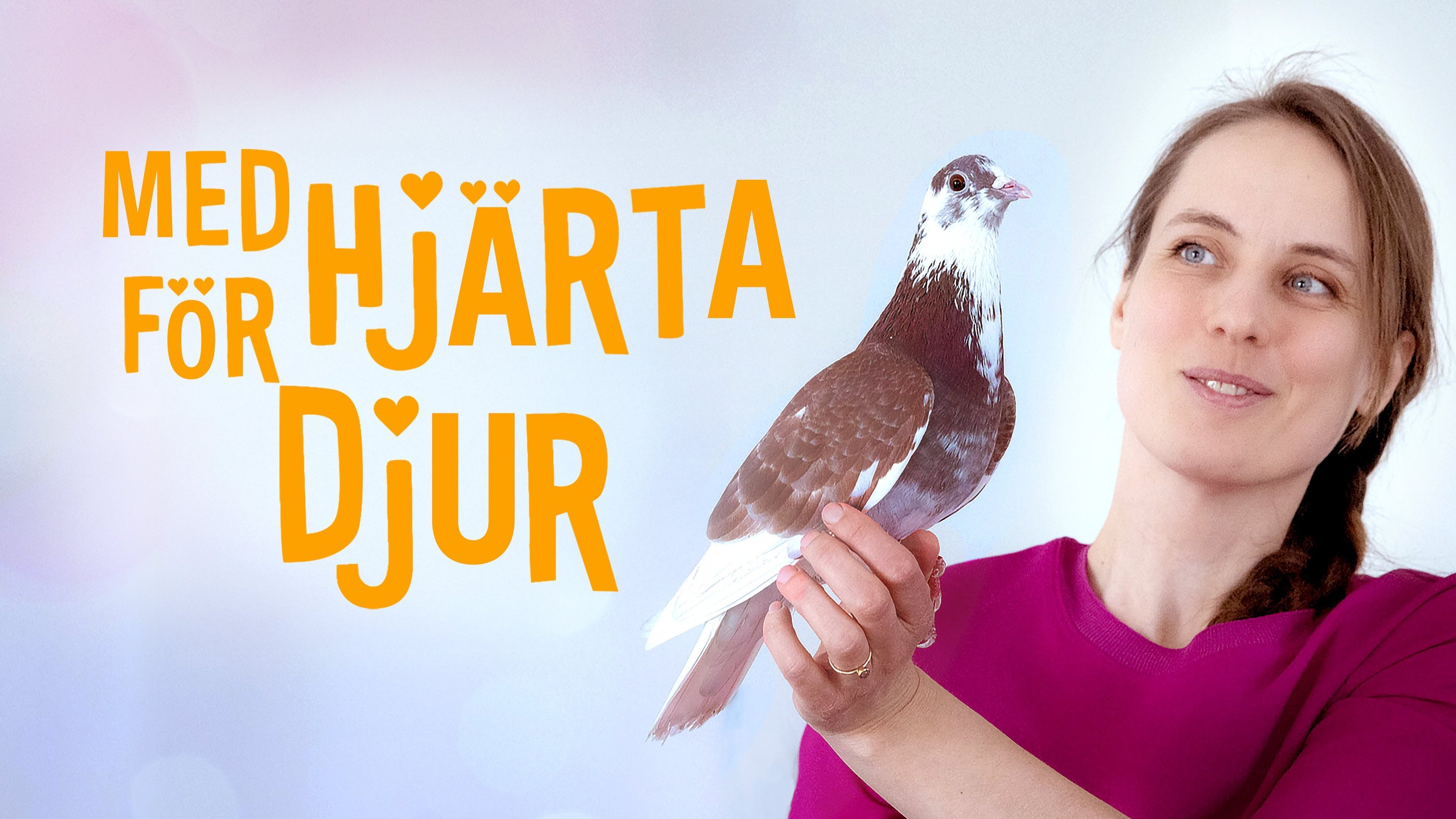 Med hjärta för djuren