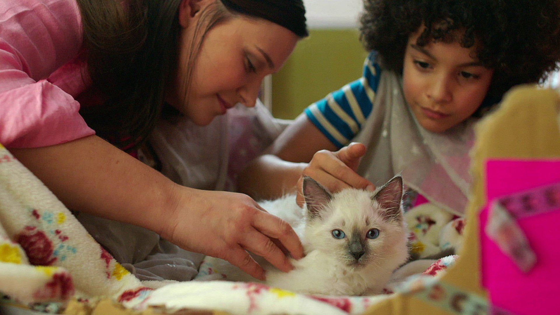 18. Våfflan och katten