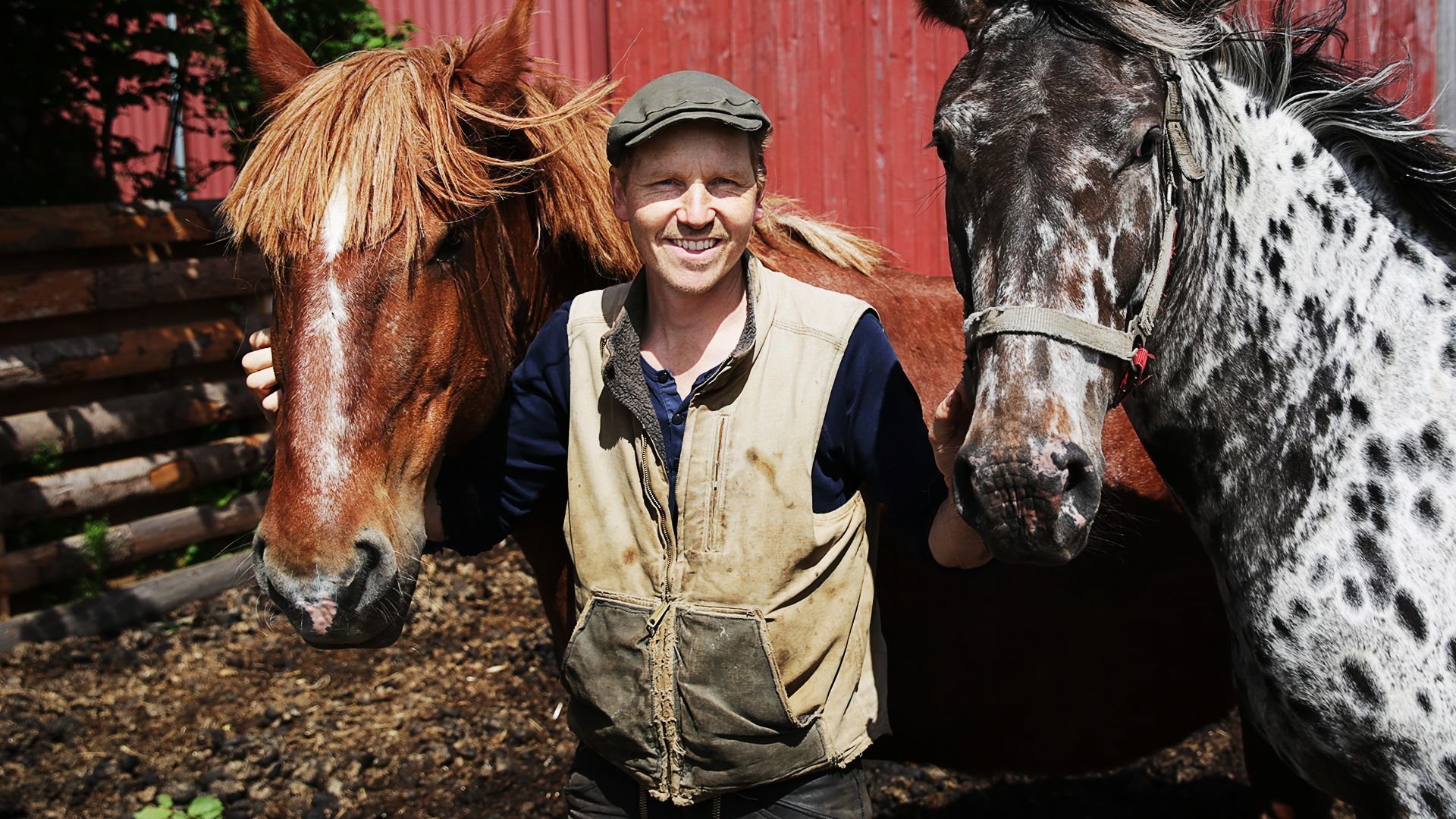 Hundra procent bonde