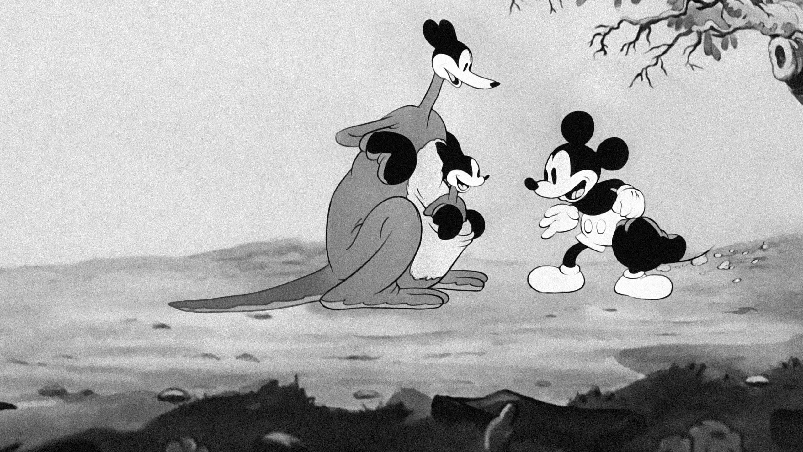Musse Piggs känguru