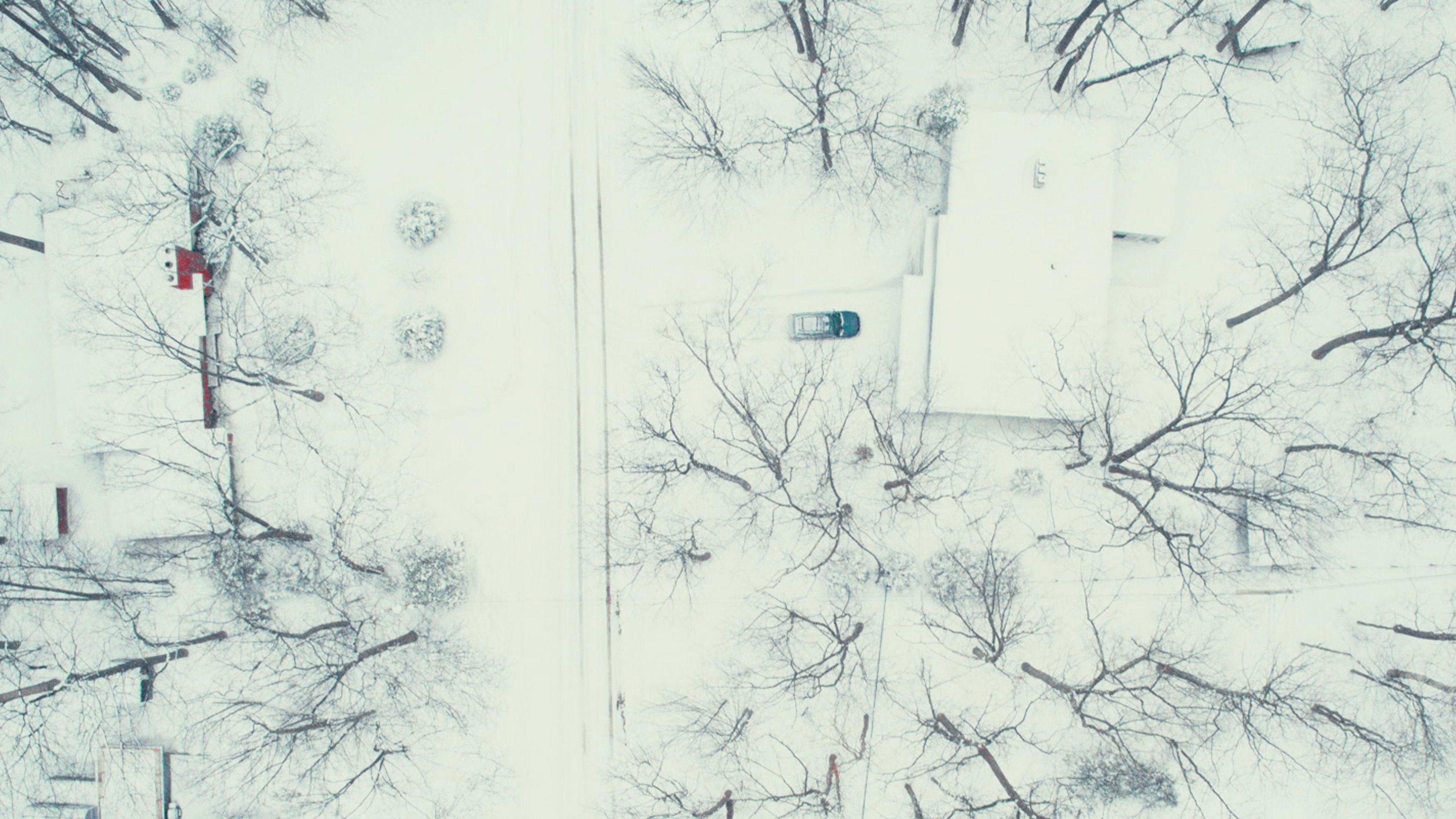 Dead Of Winter