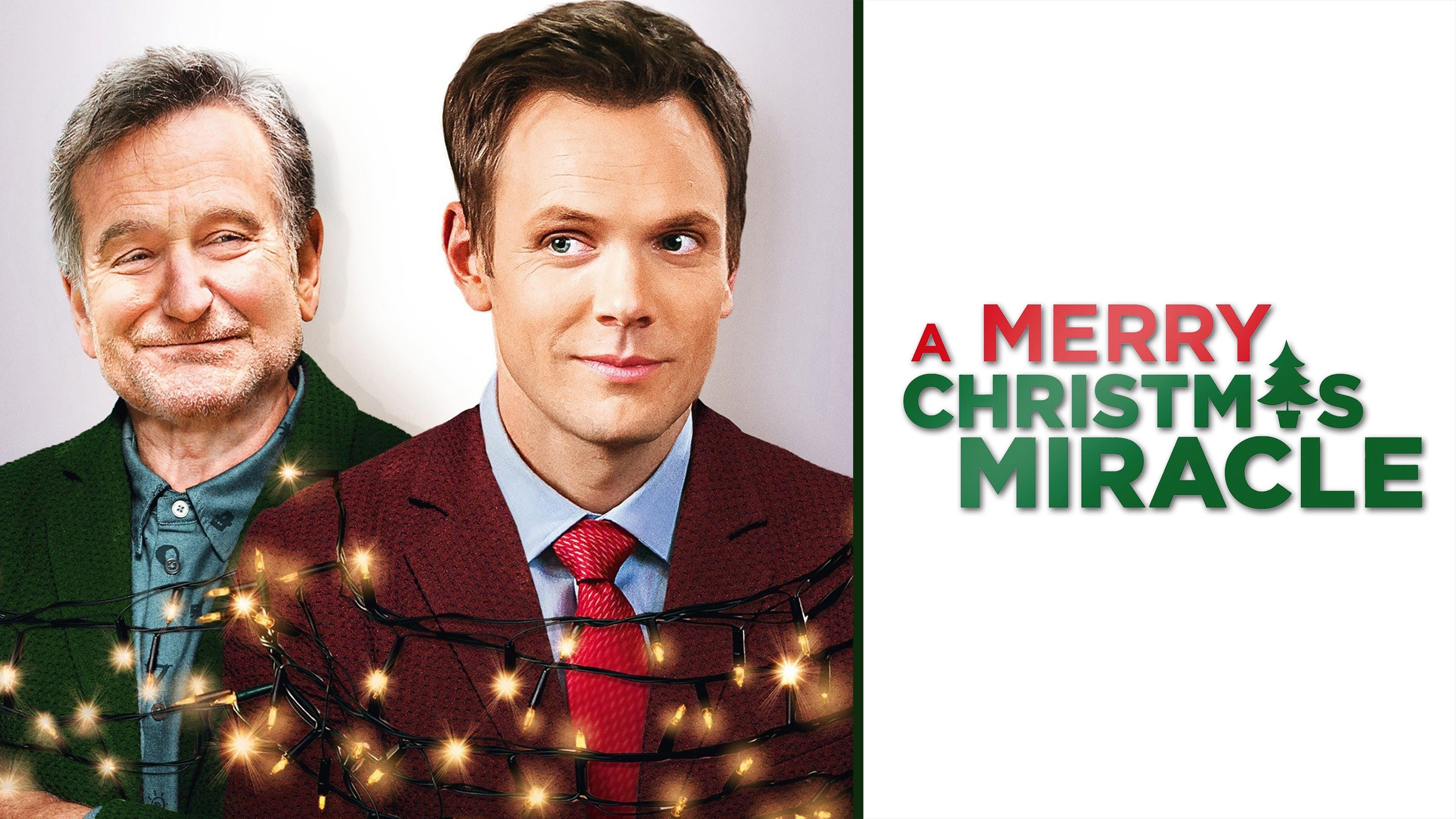 A Merry Christmas Miracle