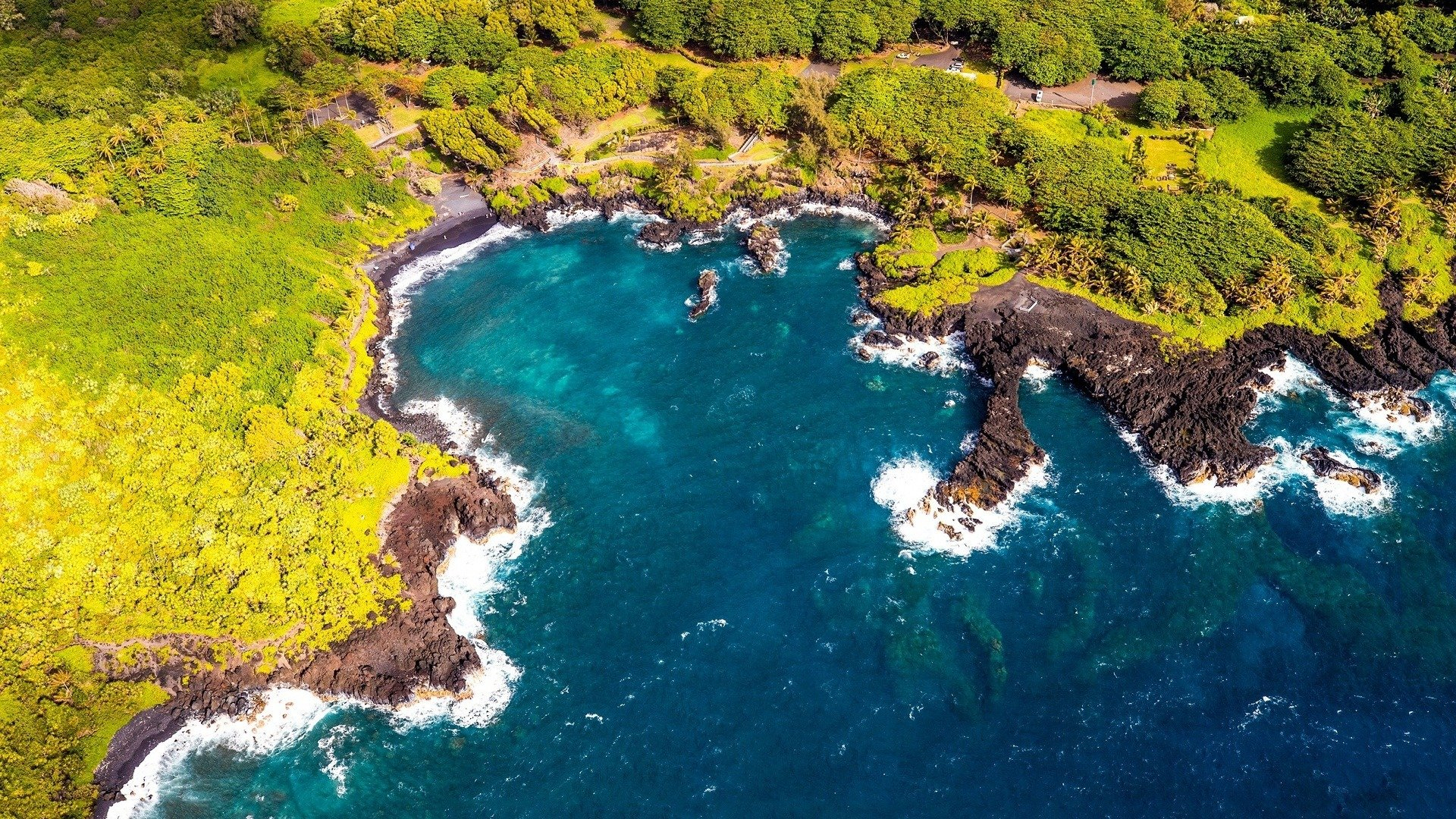 Wild Coasts