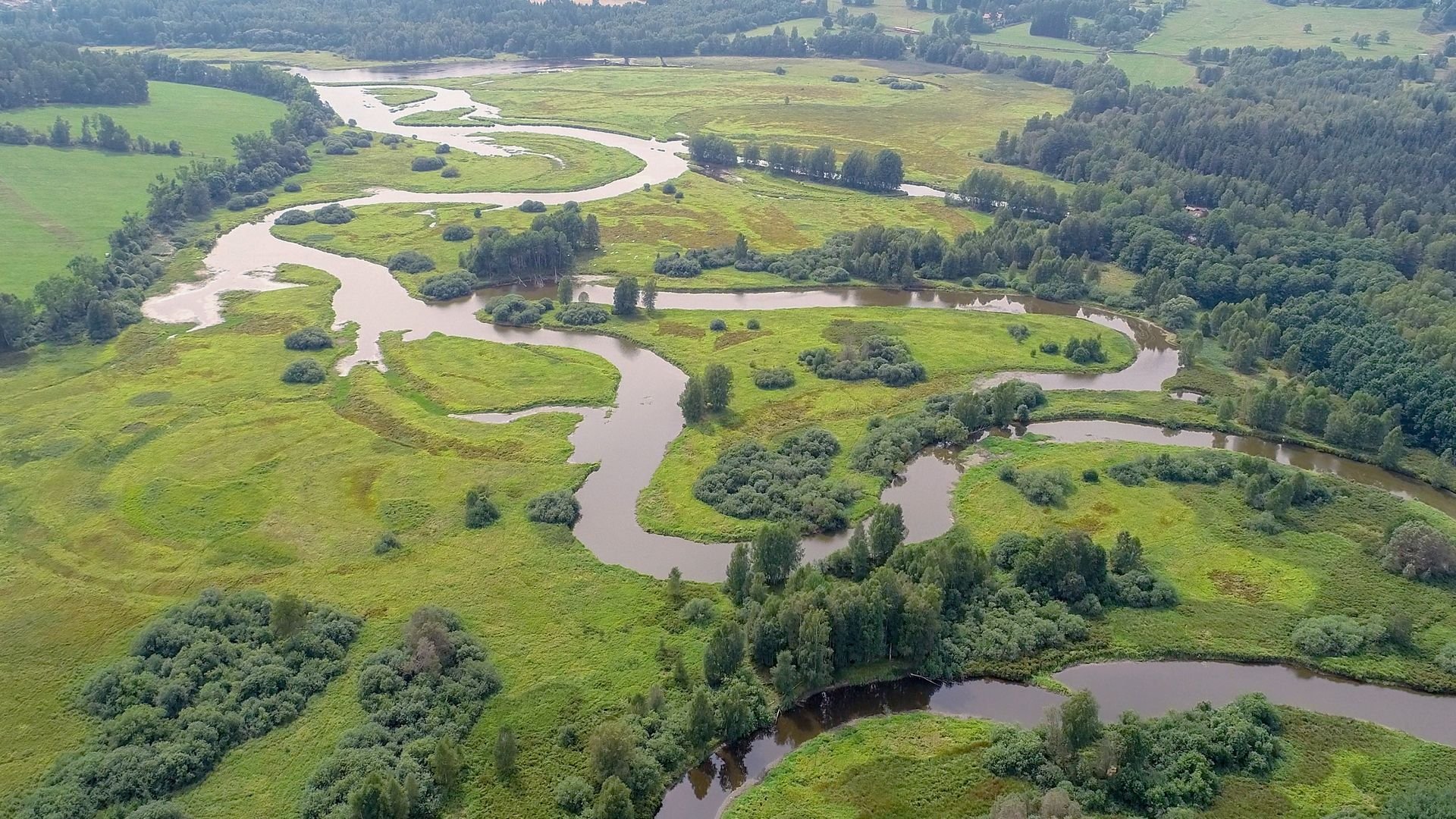 Moldau: Guldfloden