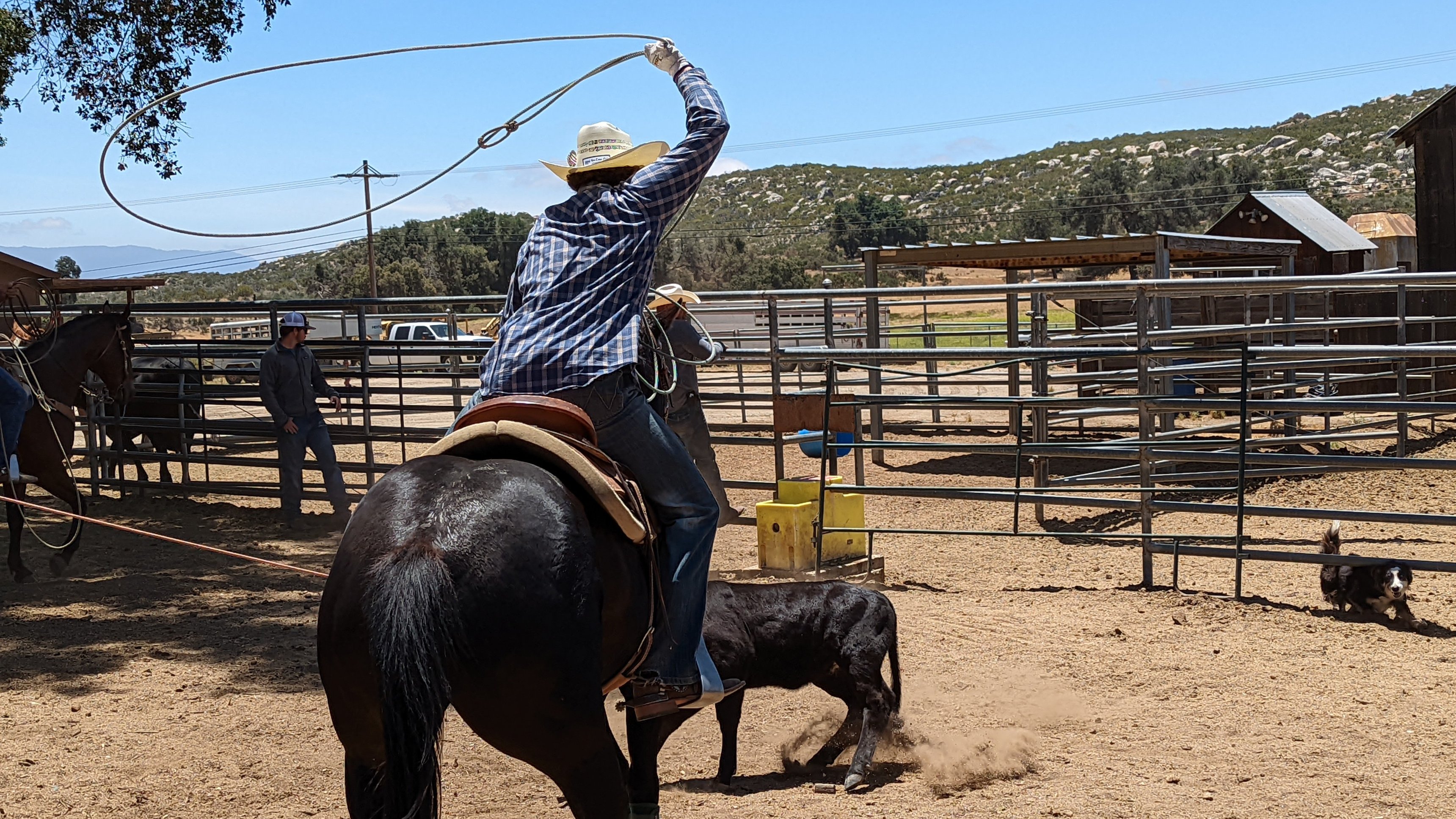 3. Cowboy Conman
