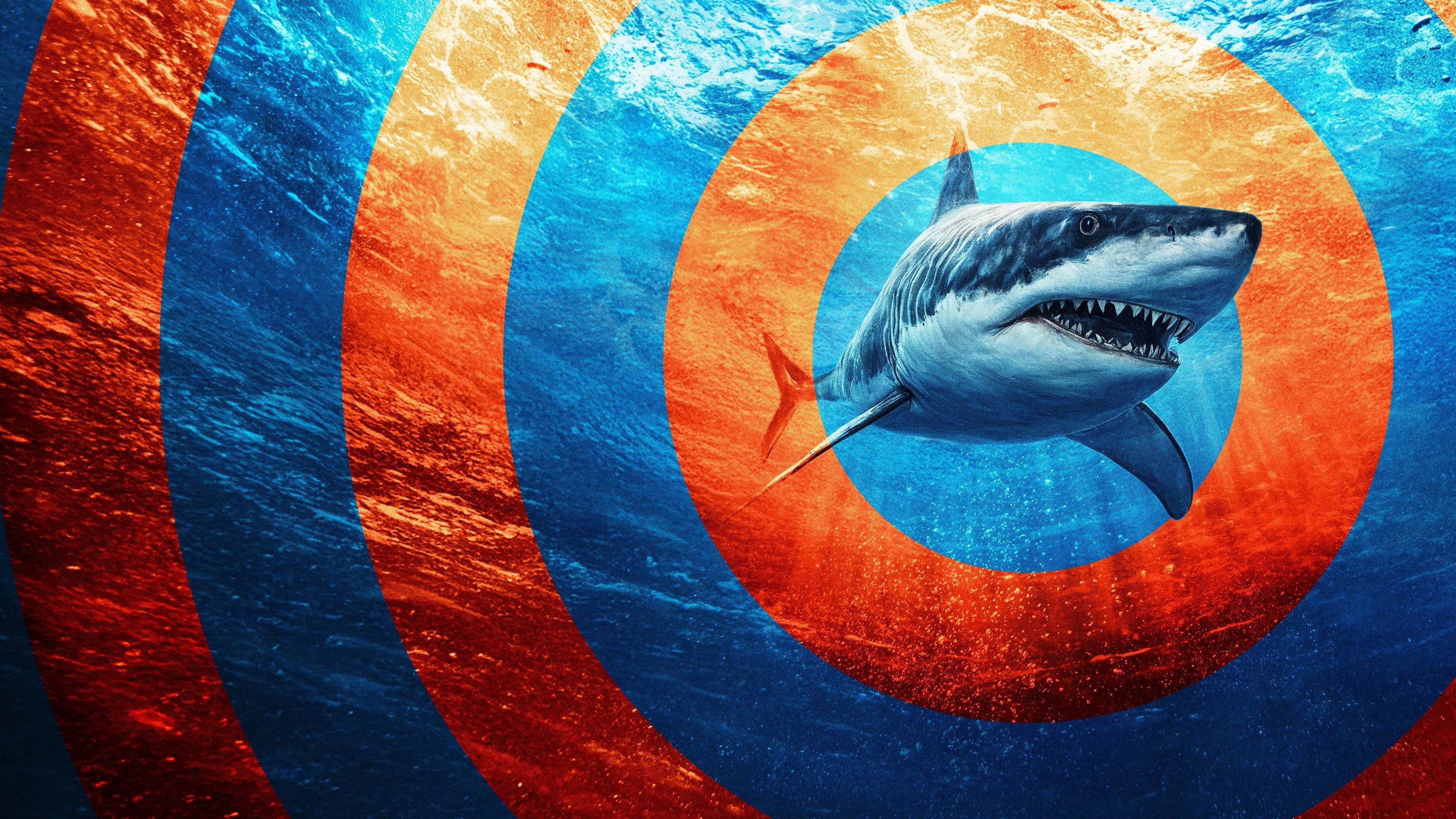 In the Eye of the Storm: Shark Storm