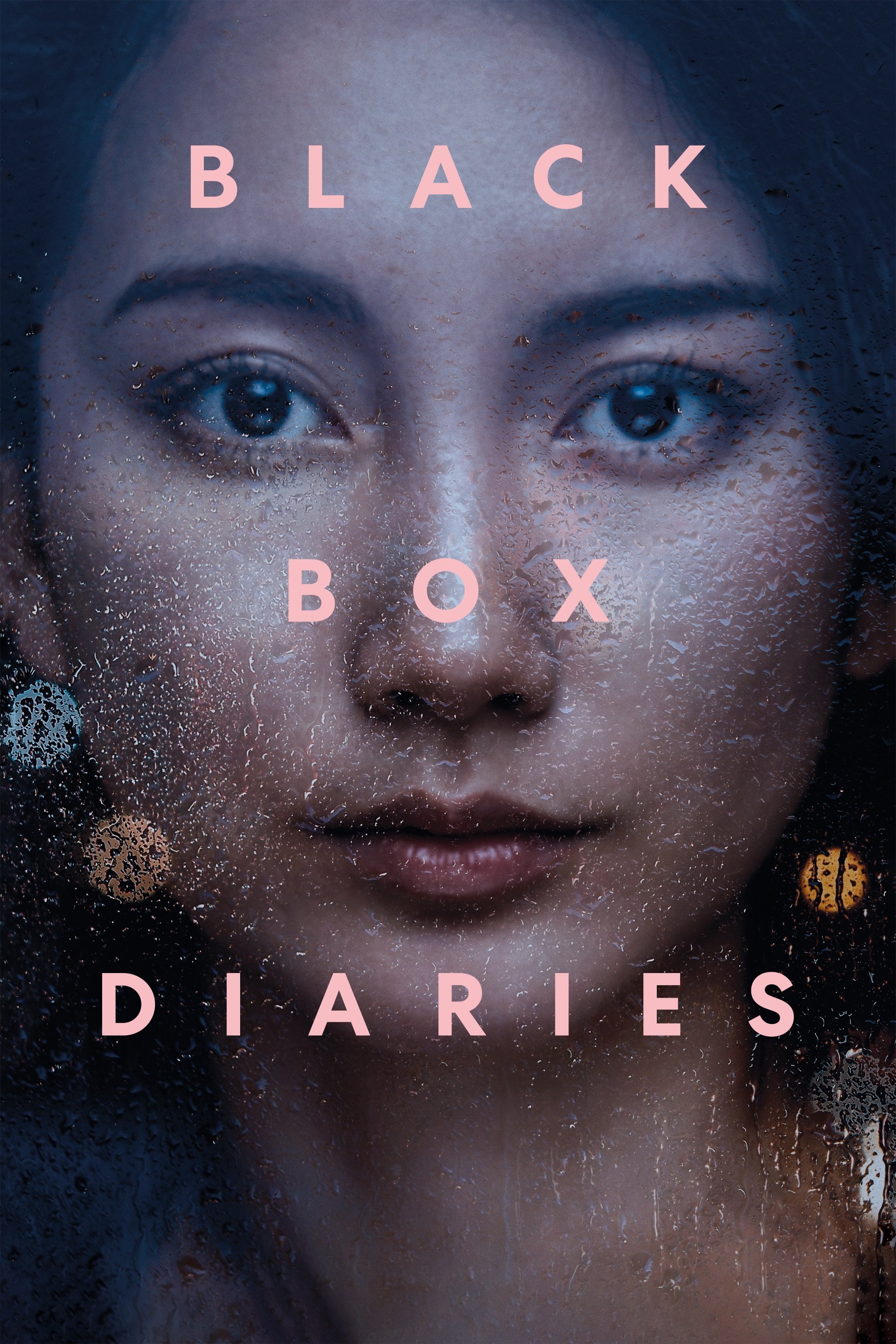 Black Box Diaries