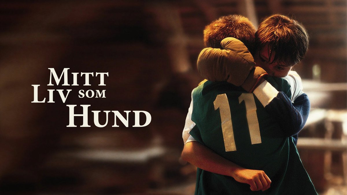 Mitt liv som hund | Tele2 Play