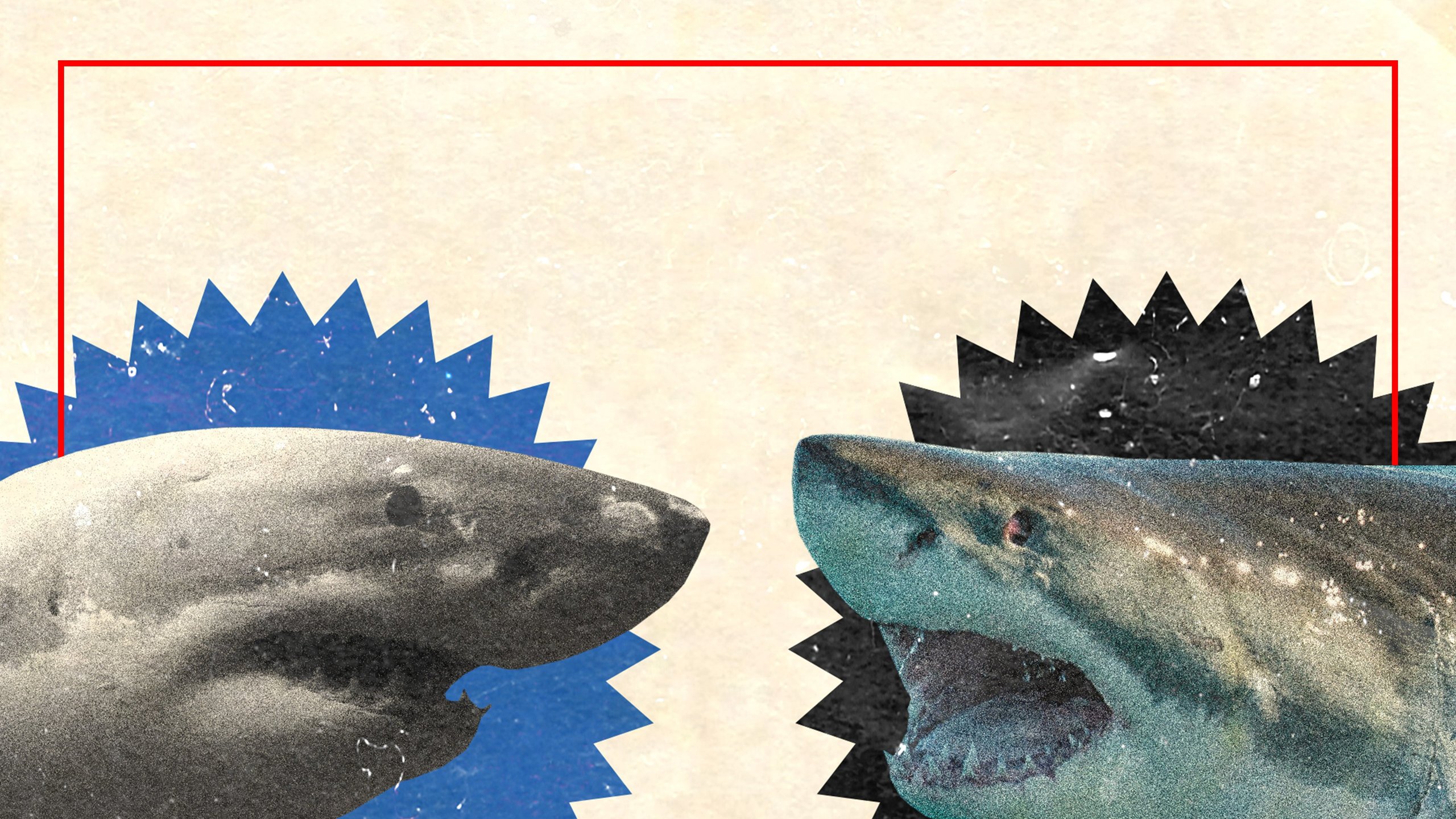 Jaws Awakens: Phred Vs Slash