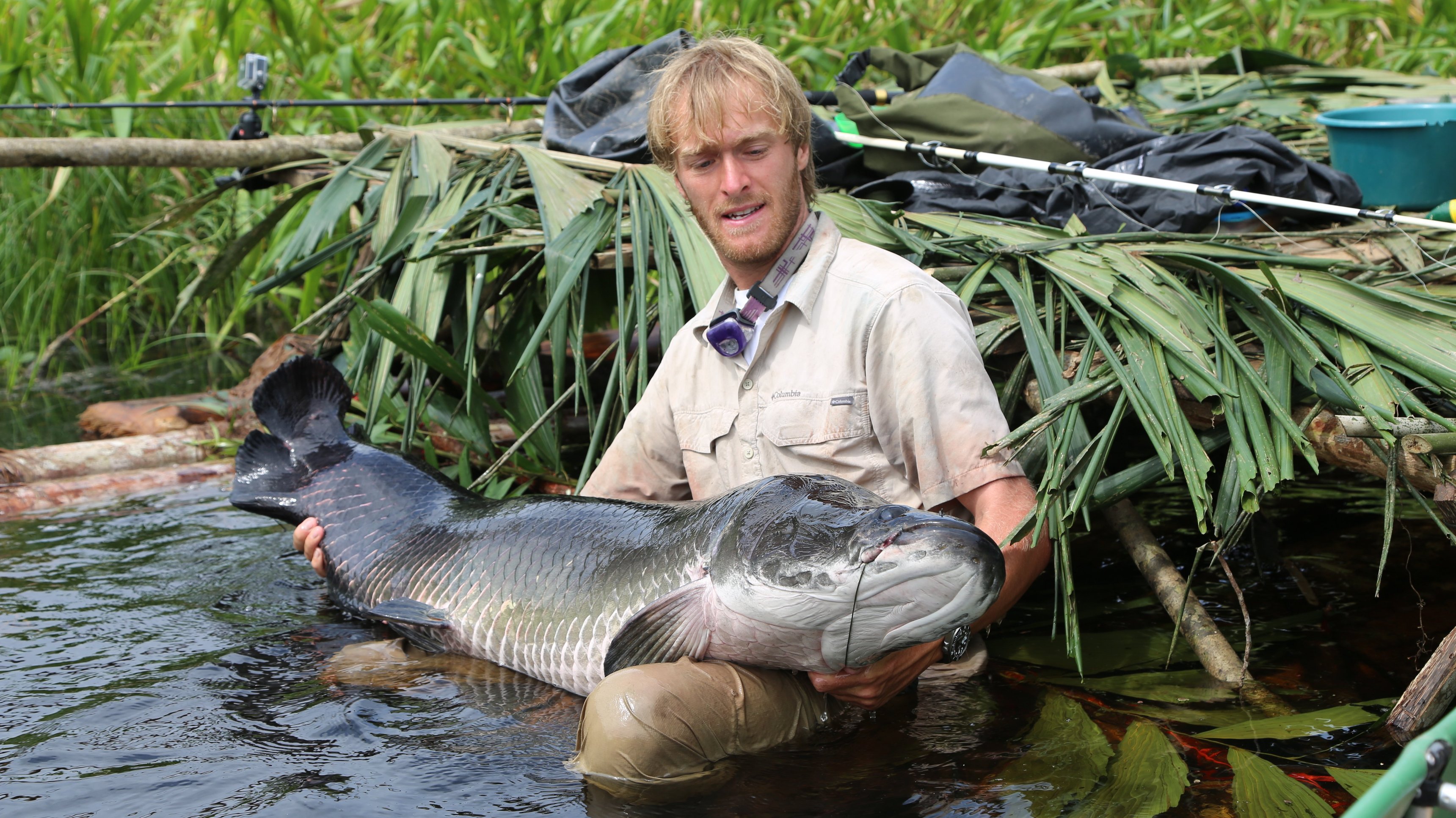 3. Congo