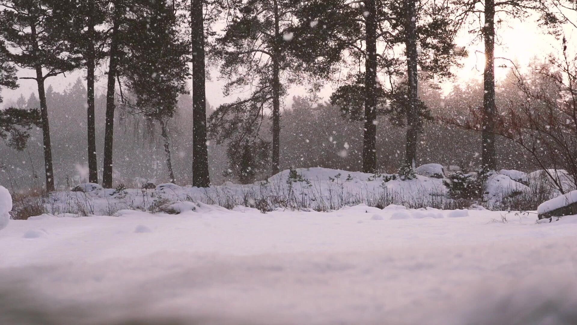 37. Snöflingor