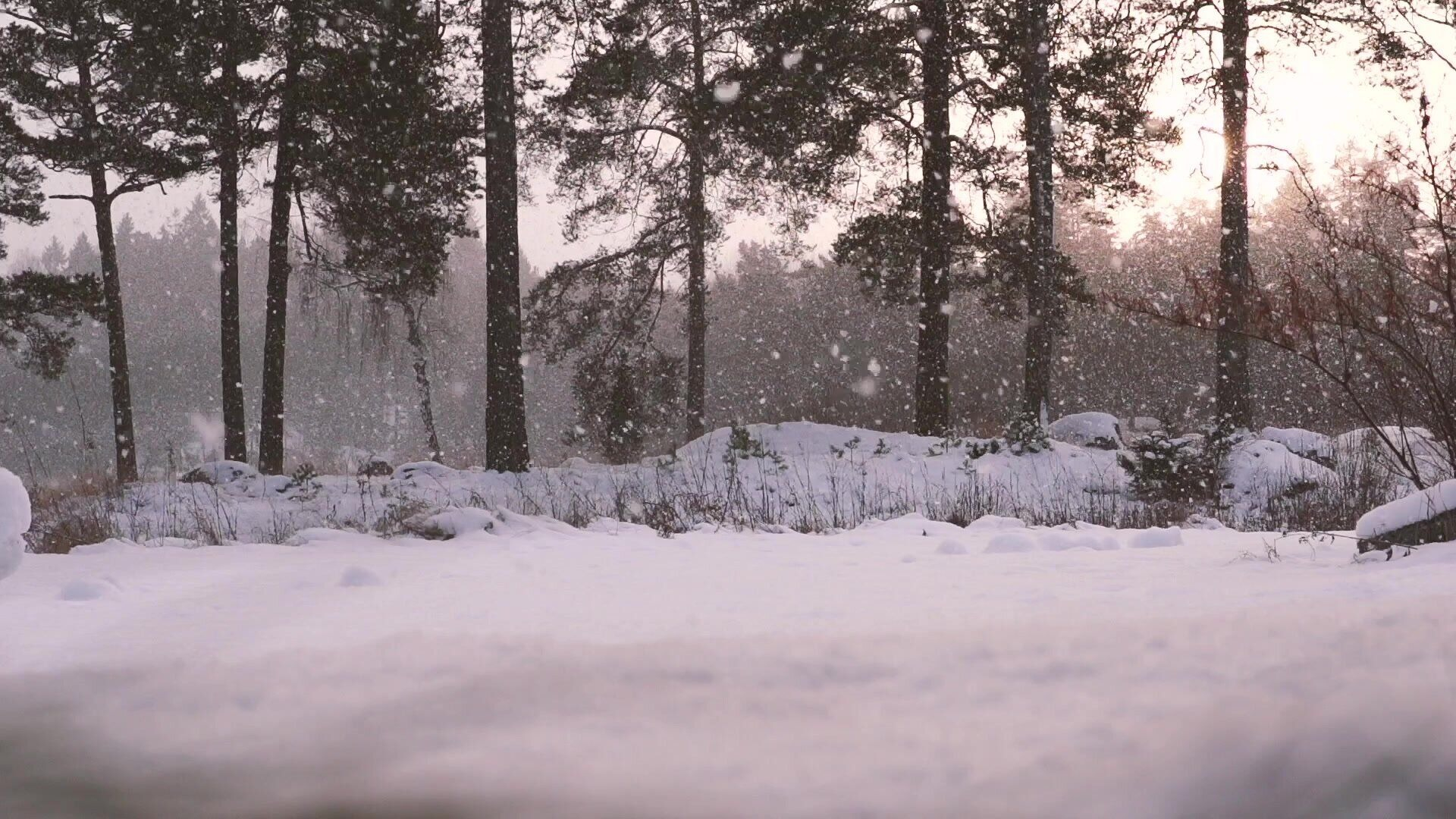 37. Snöflingor
