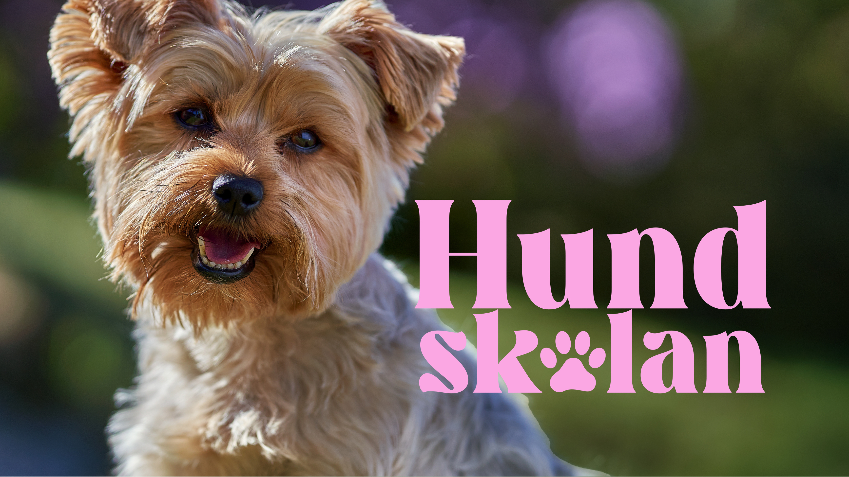 Hundskolan
