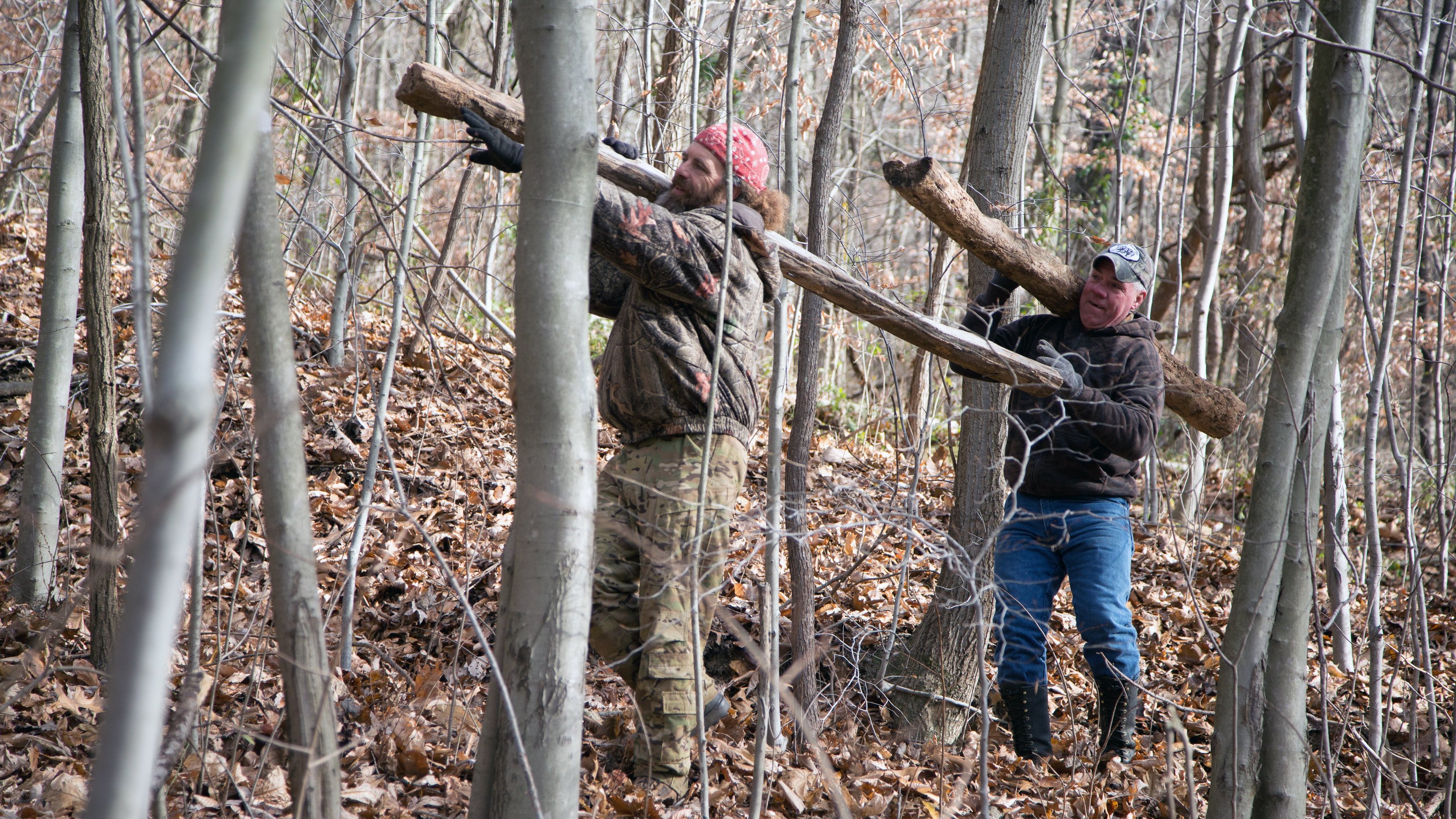 15. Den farliga katten i Cherokee County