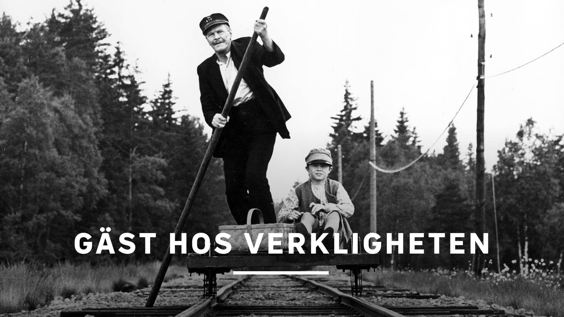 Gäst hos verkligheten