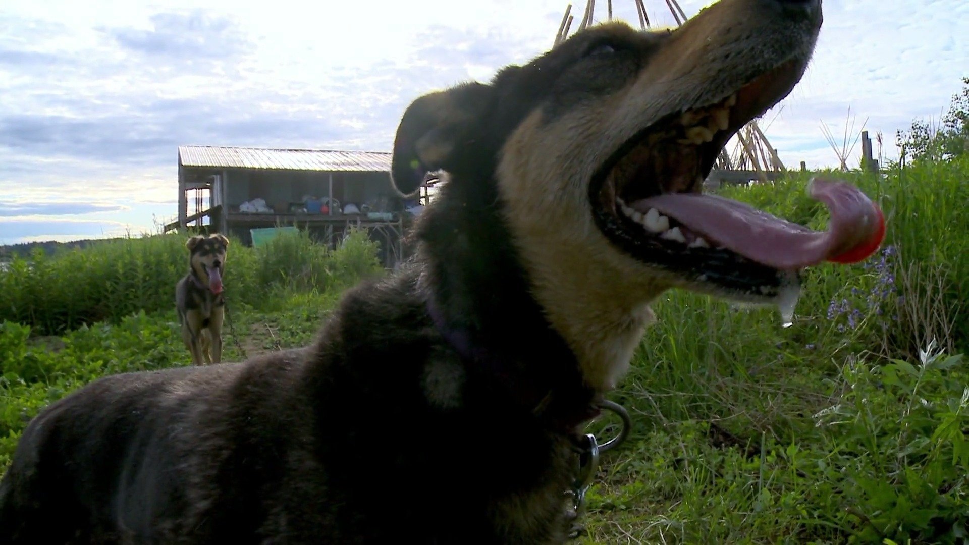9. Yukon Men: Last Chance