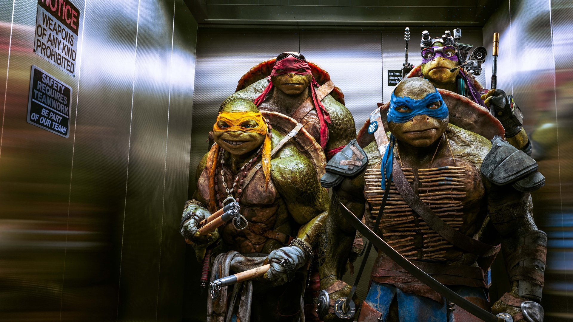 Teenage Mutant Ninja Turtles