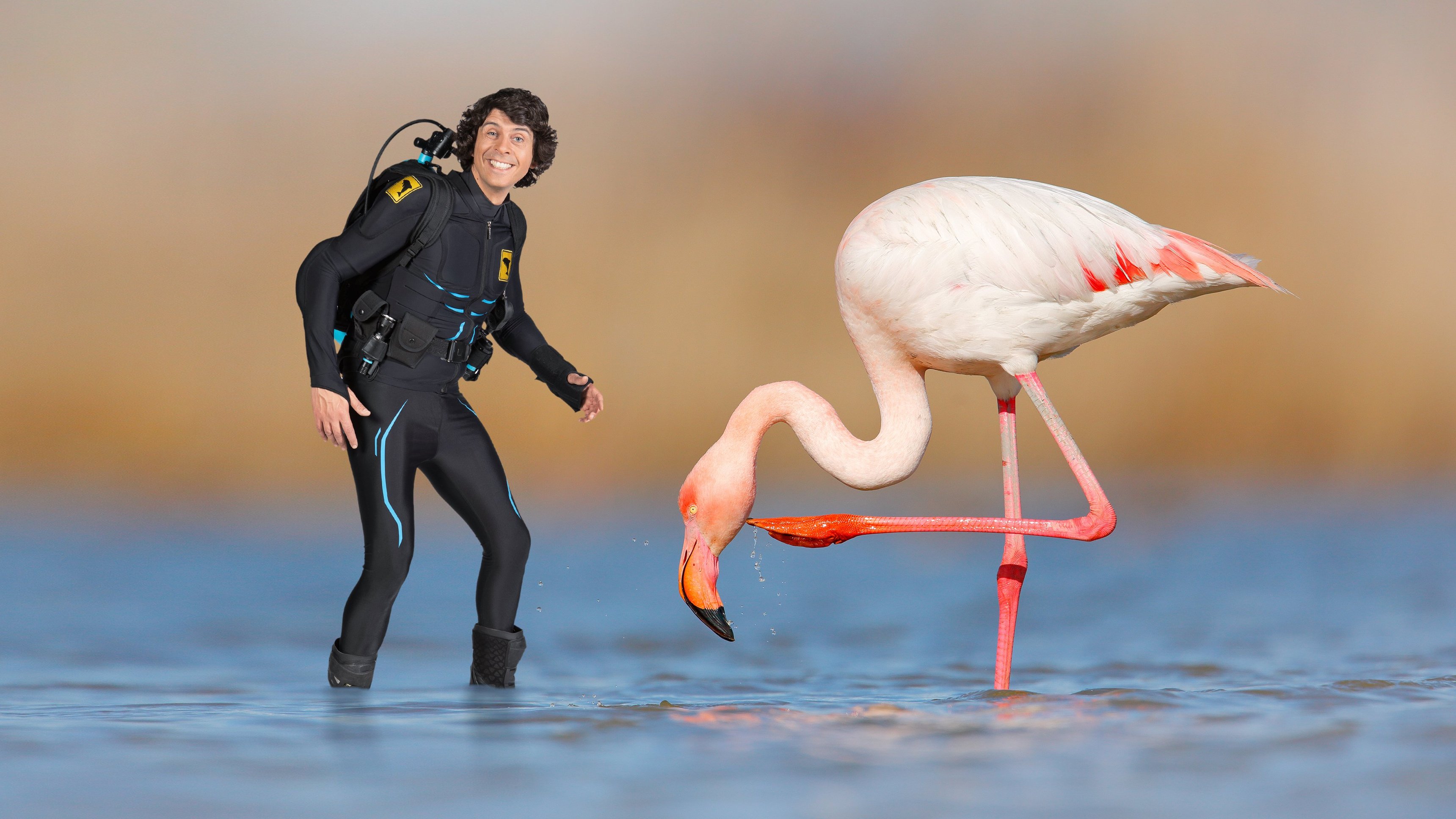 7. Andy och flamingorna i Anderna