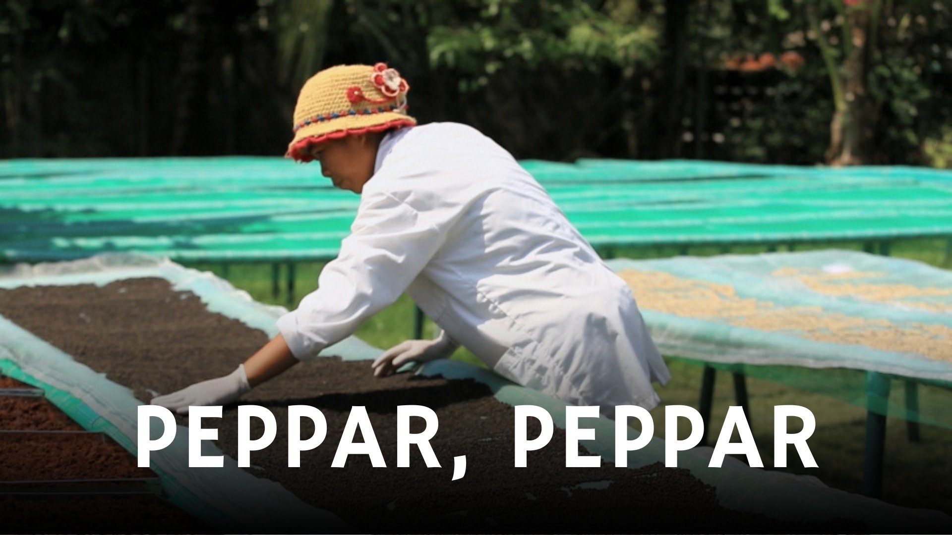 Peppar, peppar