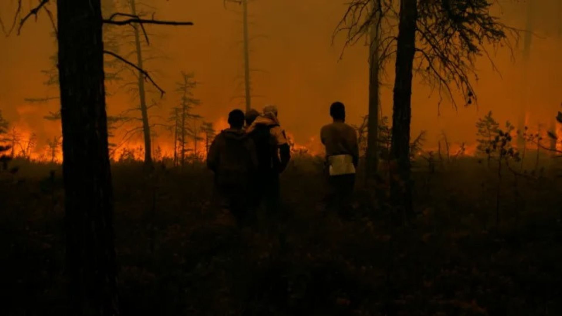 Control Zone - Siberia's Wildfires