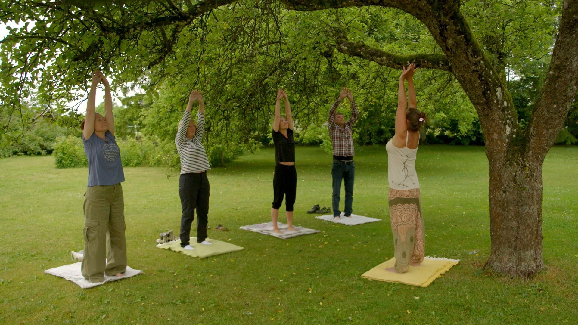 7. Bonde söker fru S18 E007