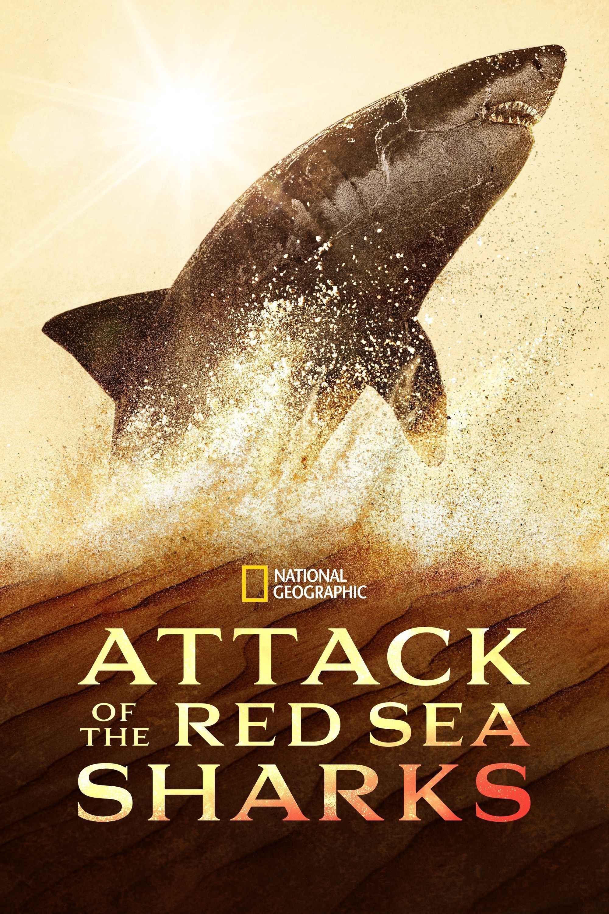 Attack of the Red Sea Sharks