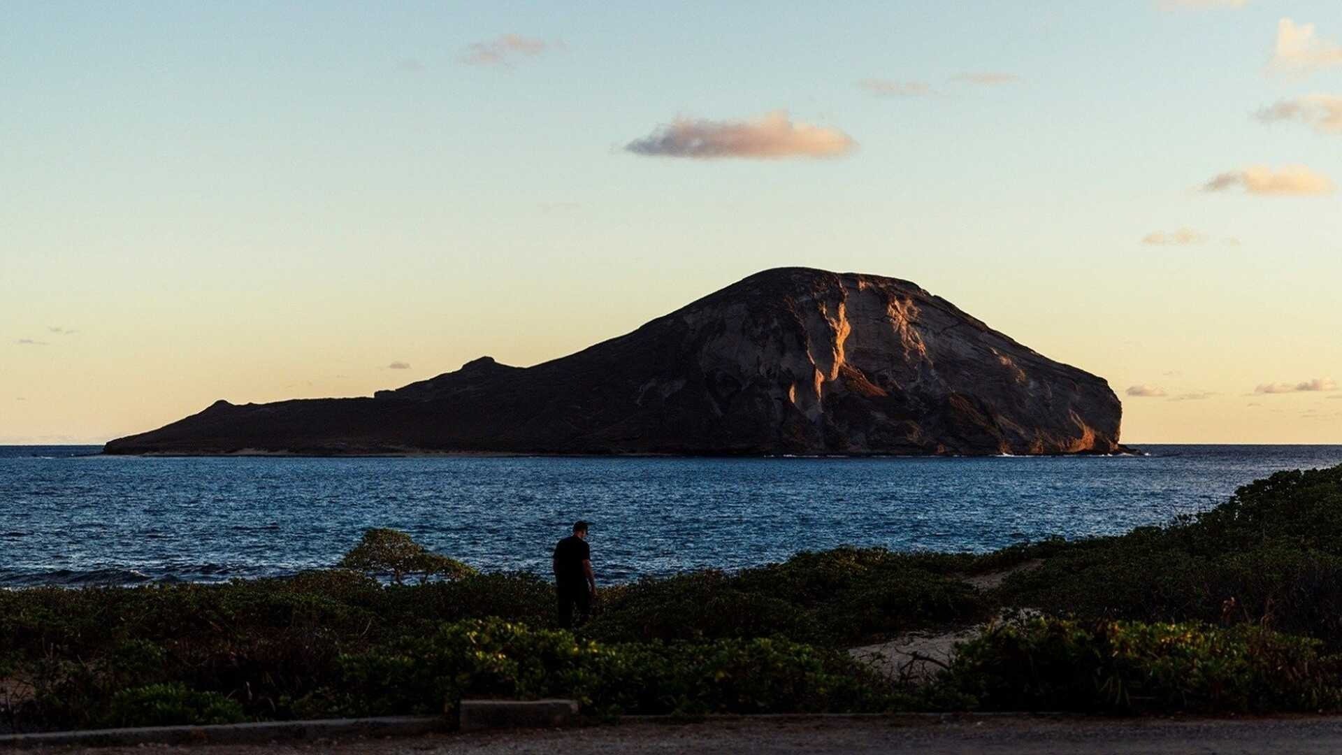 5. Sharkcano: Hawaii